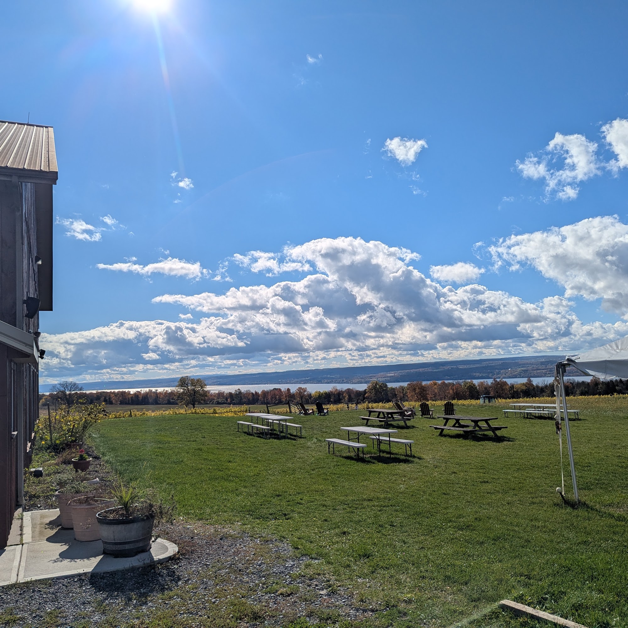 Long Point Winery Aurora