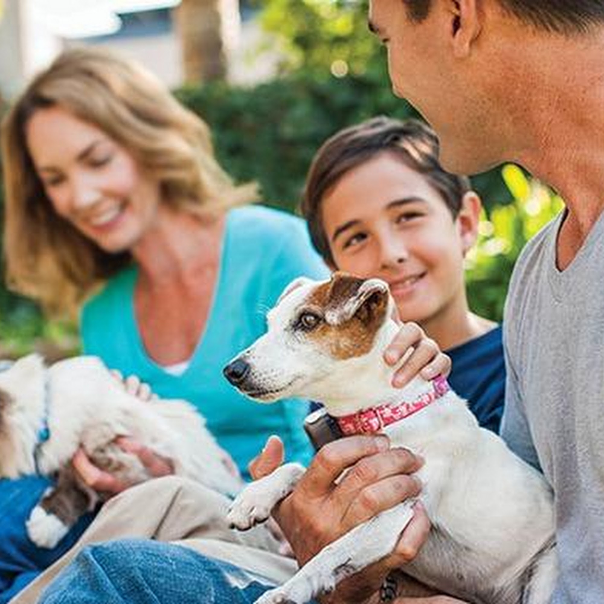 Invisible Fence Brand Ballston Lake
