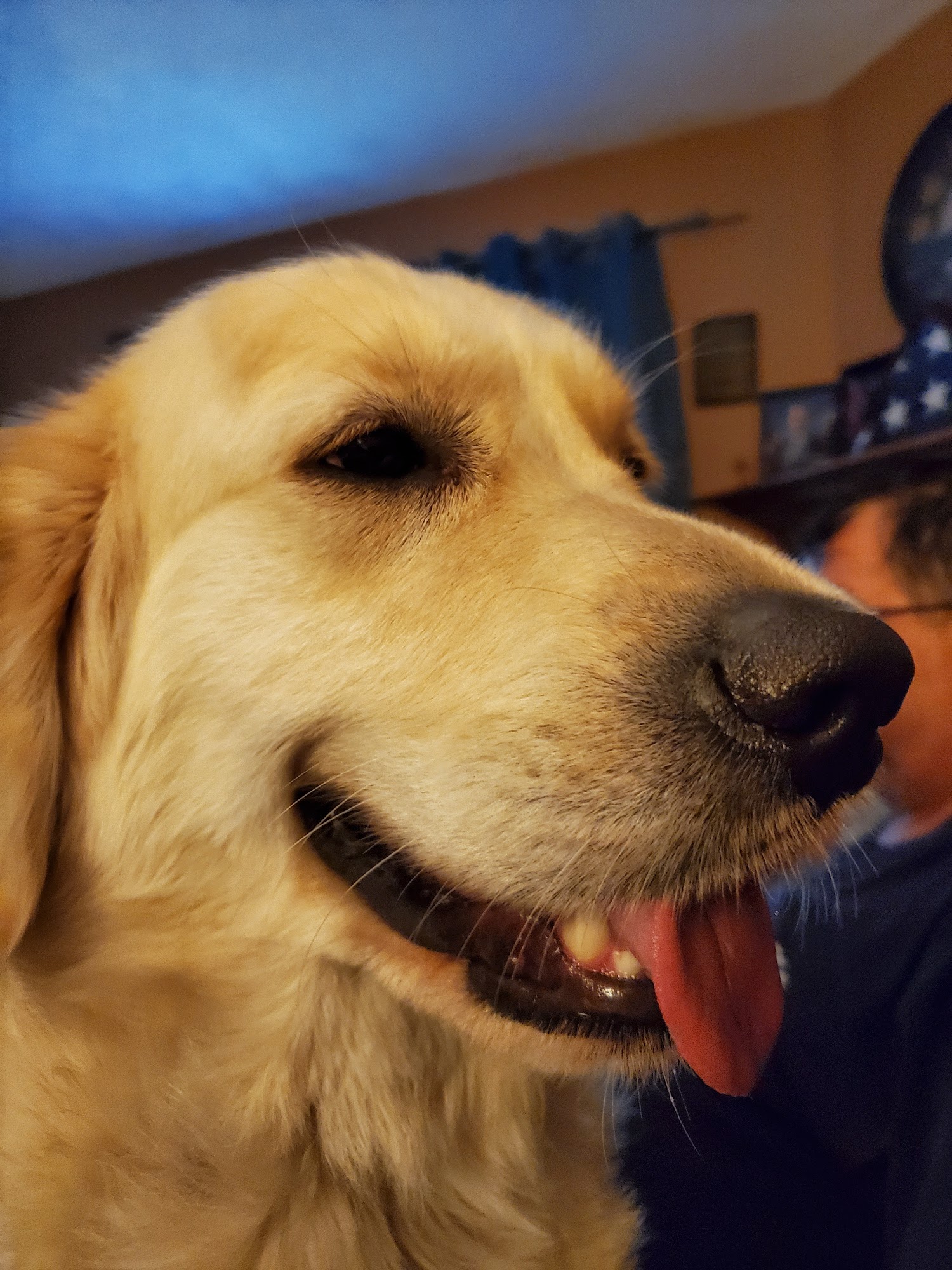 Haven Animal Hospital Ballston Spa