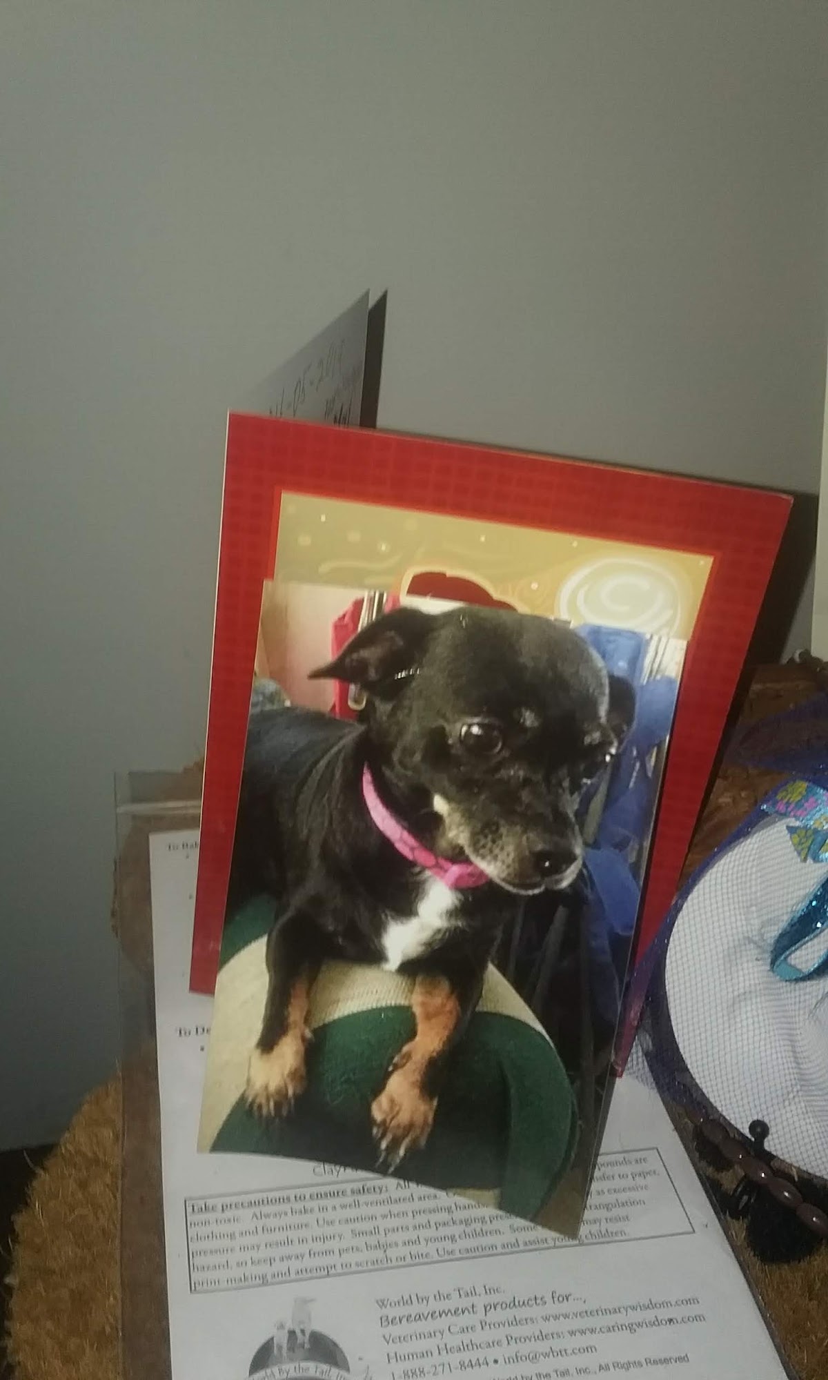 Fingerlakes SPCA Bath