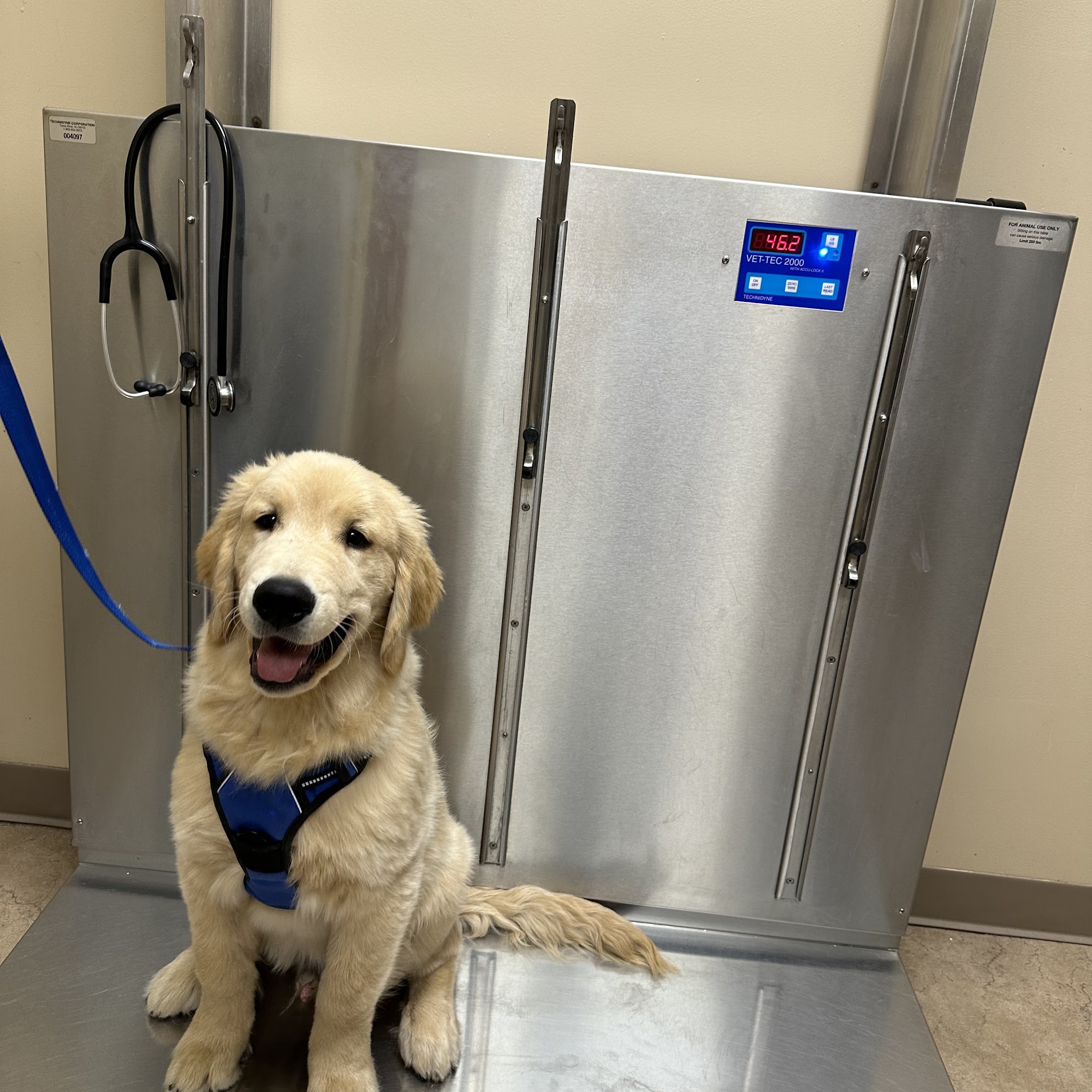 Twins Veterinary Hospital Bay Shore