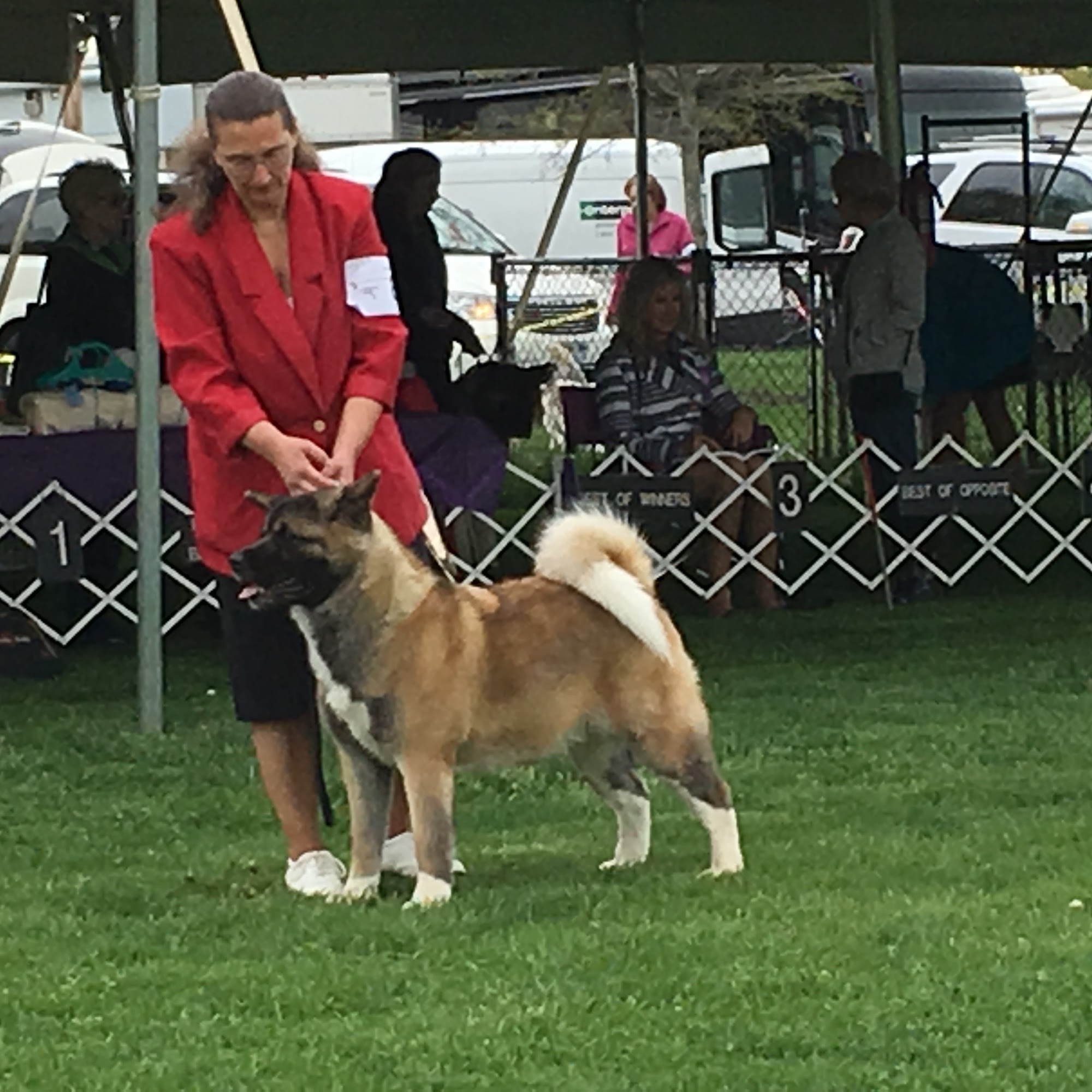 Bayview Animal Hospital PC Bay Shore