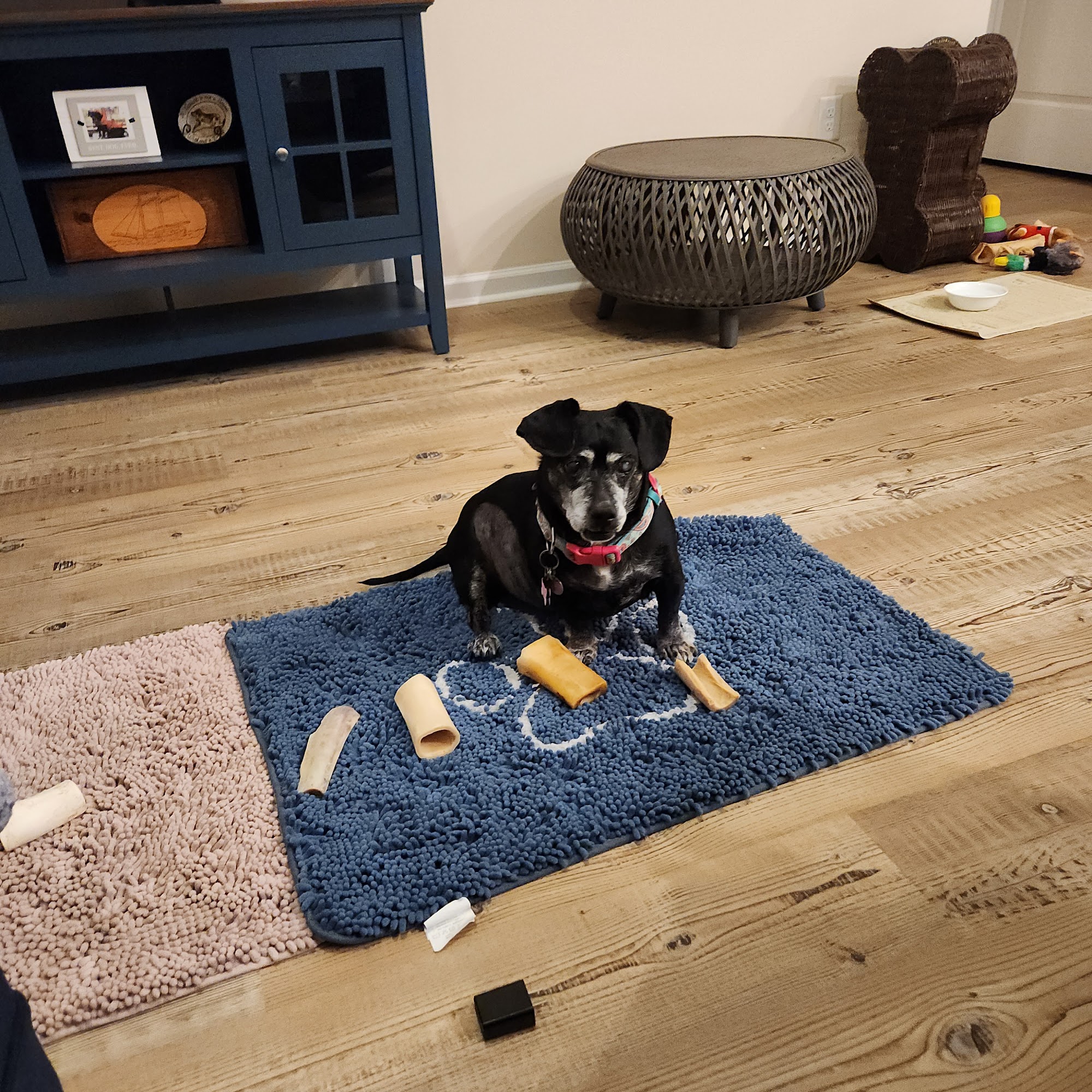 Dr. Steven Dratch Bay Shore