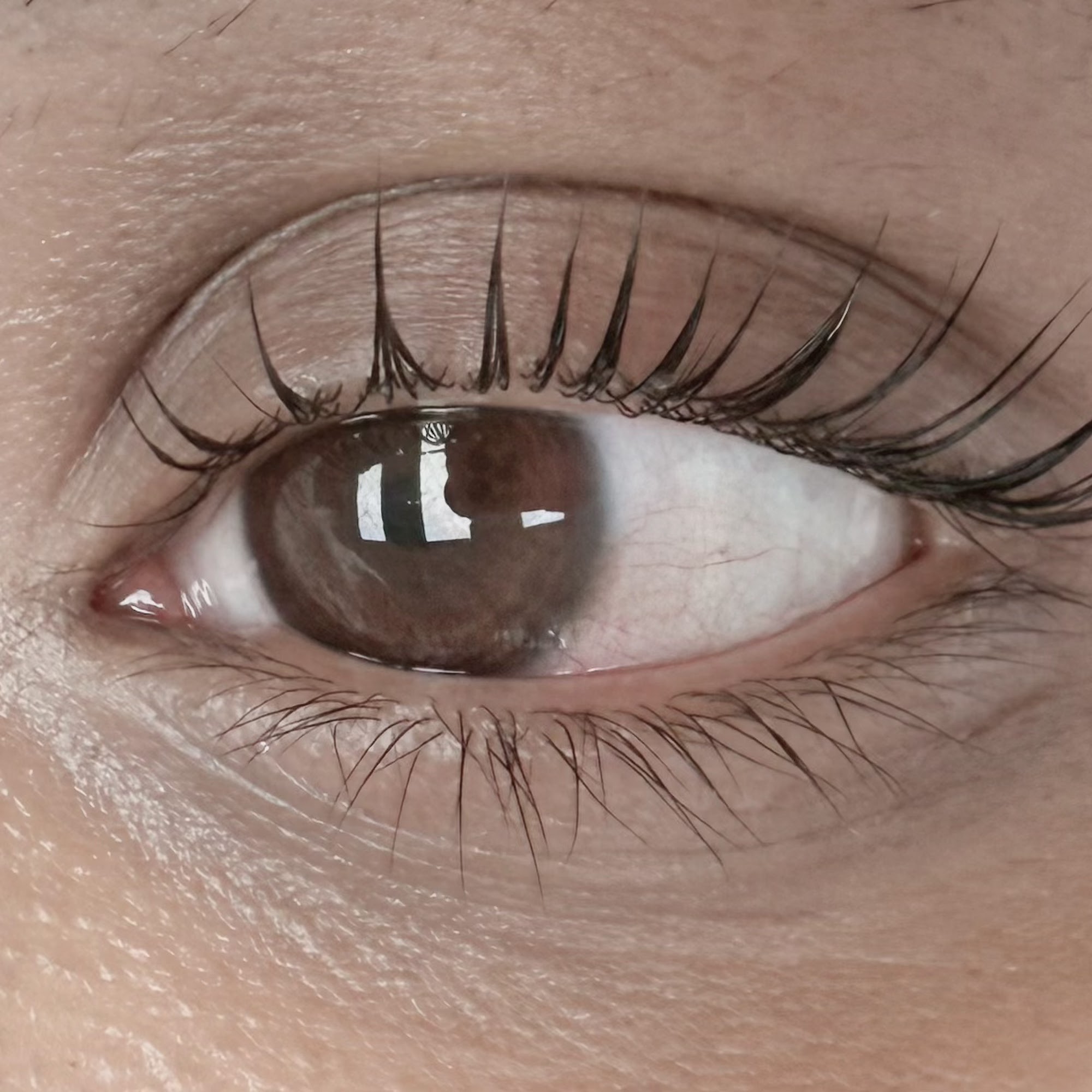 Eye Luv Lash 219-03 Northern Blvd #203, Bayside New York 11361