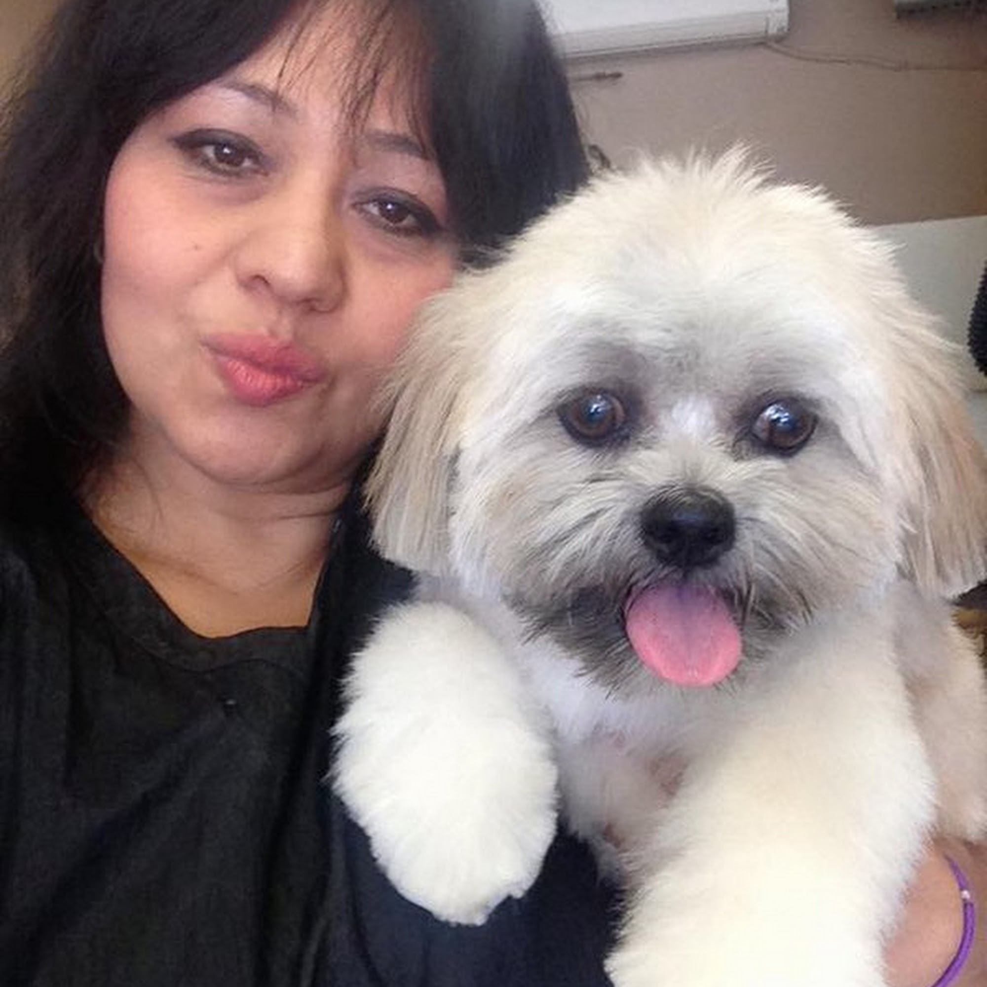 Paws And Mittens One Pet Spa Beacon