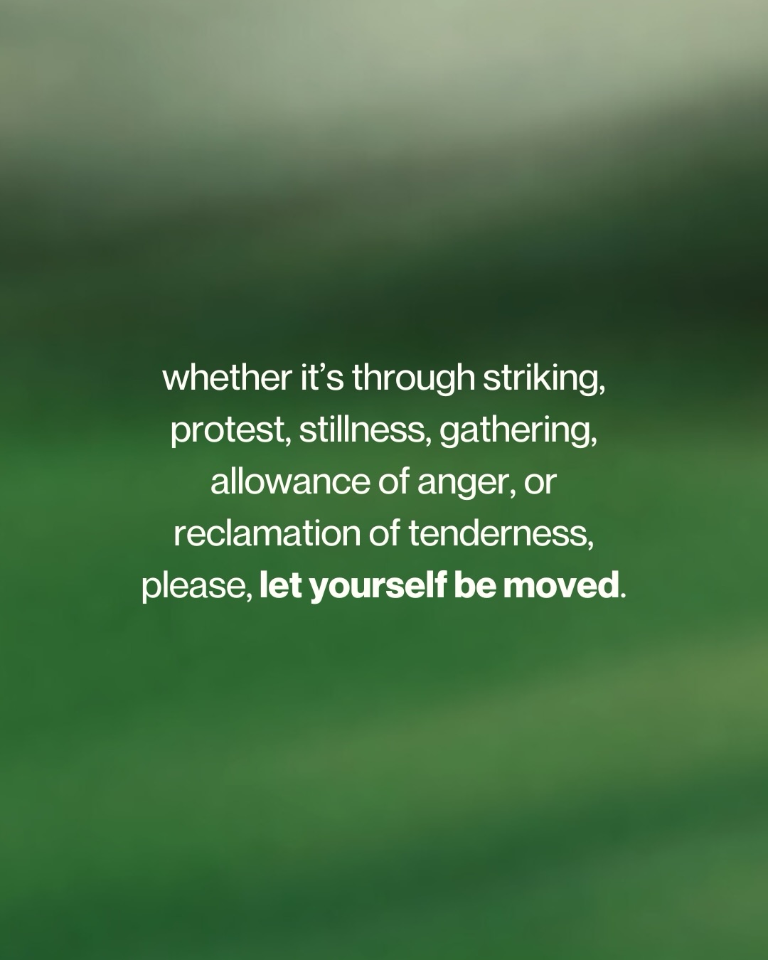 Matcha Thomas Beacon