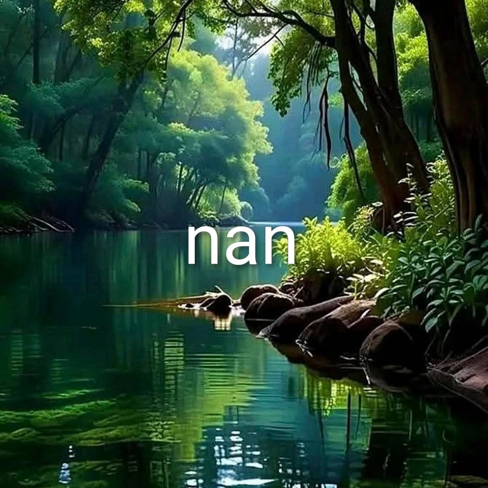 Mountain View Home Care Agency