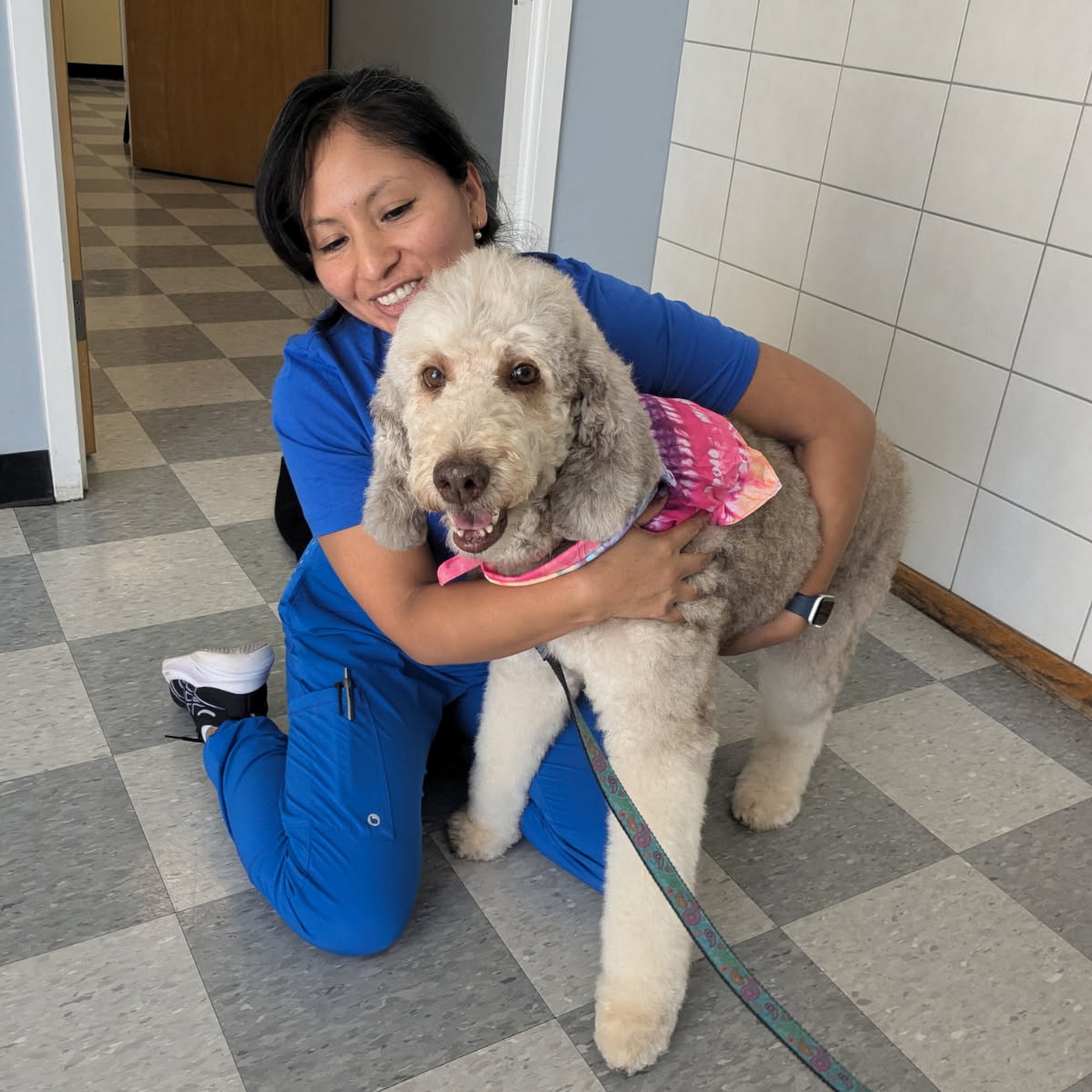 Veterinary Care of Bedford Bedford Hills