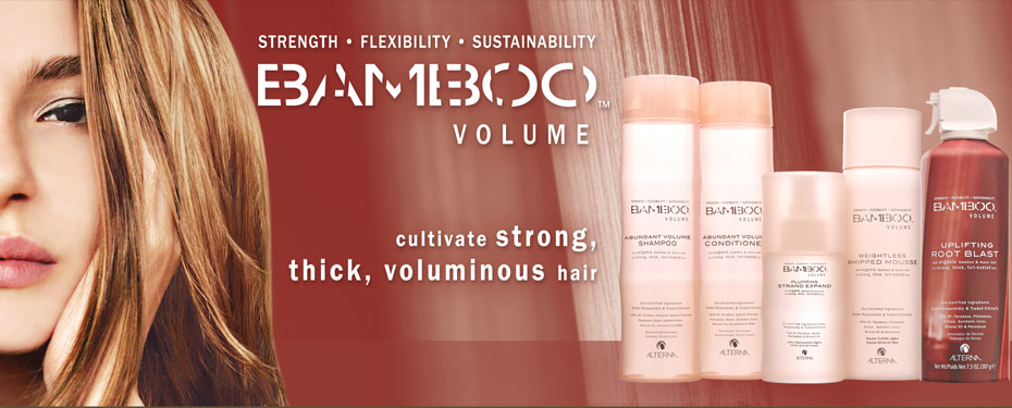 Sandy's Salon 32 Van Wyck Rd, Blauvelt New York 10913