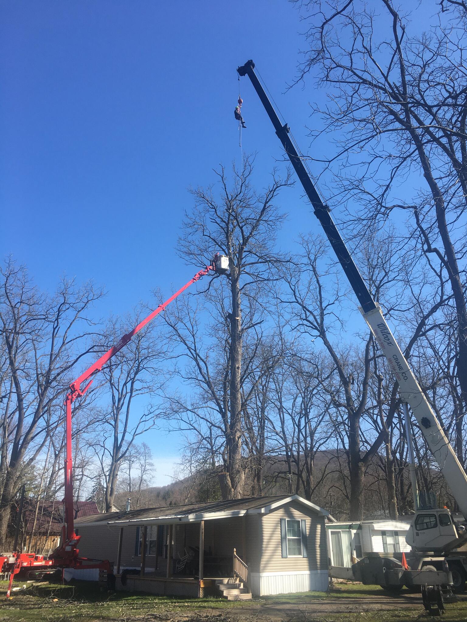 Photo credit: nextdoor