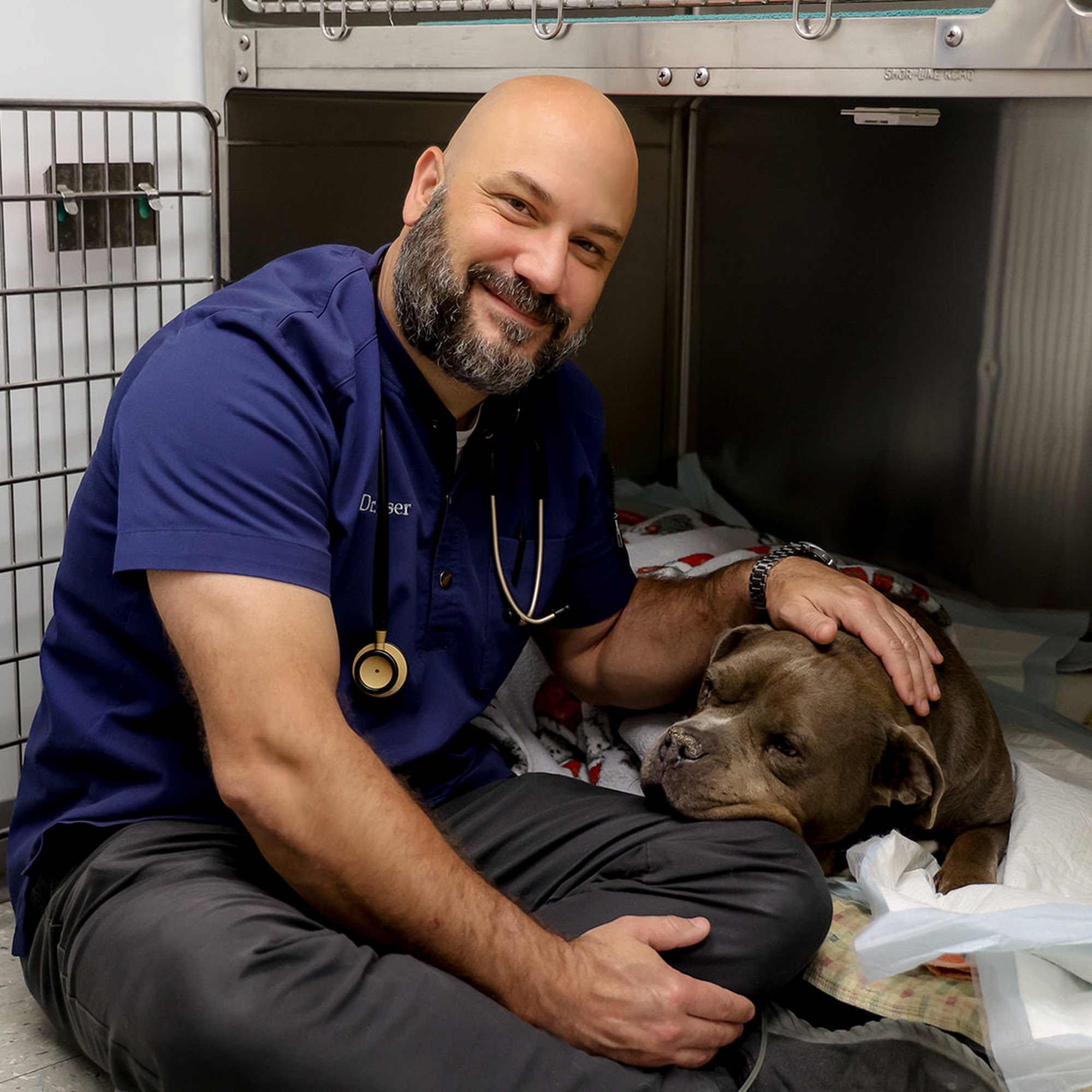 Brewerton Hospital for Animals Brewerton