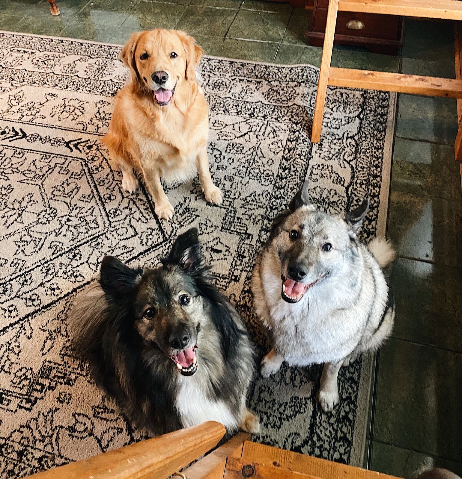 Brewerton Hospital for Animals Brewerton