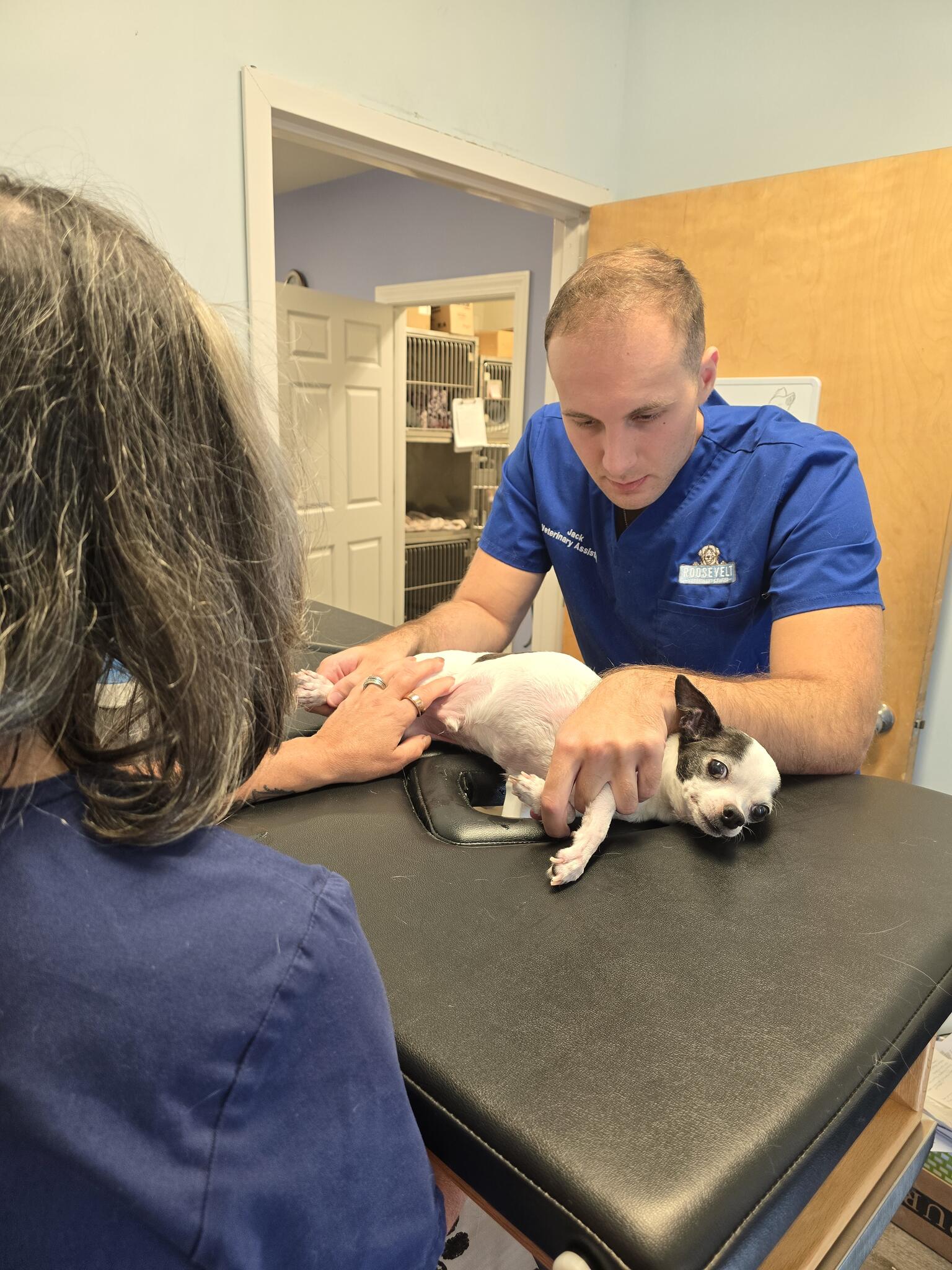 Roosevelt Veterinary Center Brewster