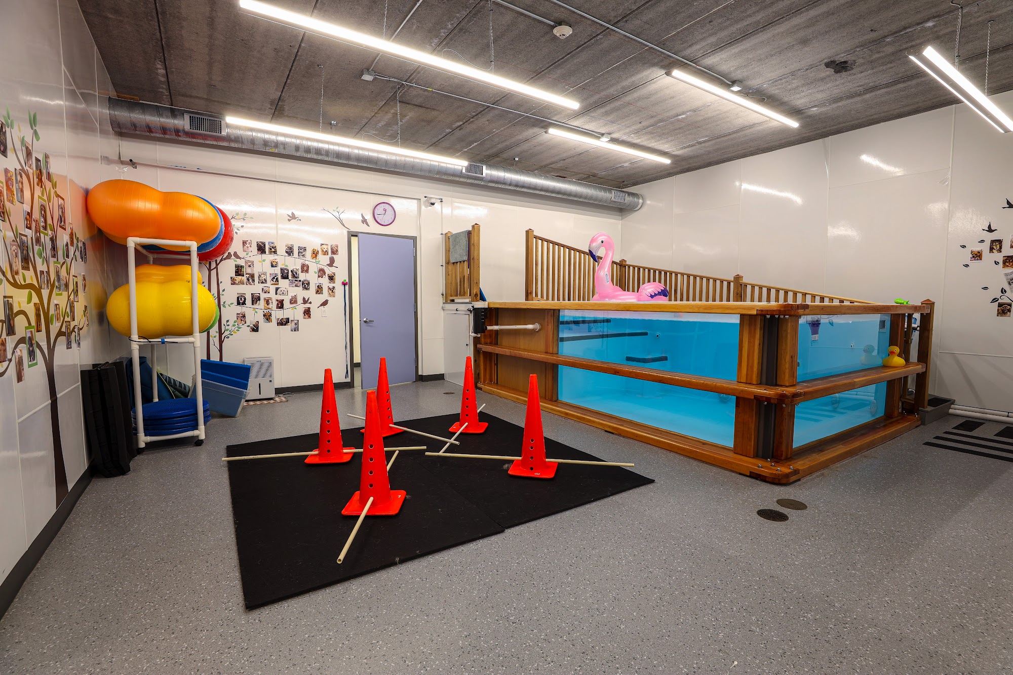 Guardian Veterinary Specialists Brewster