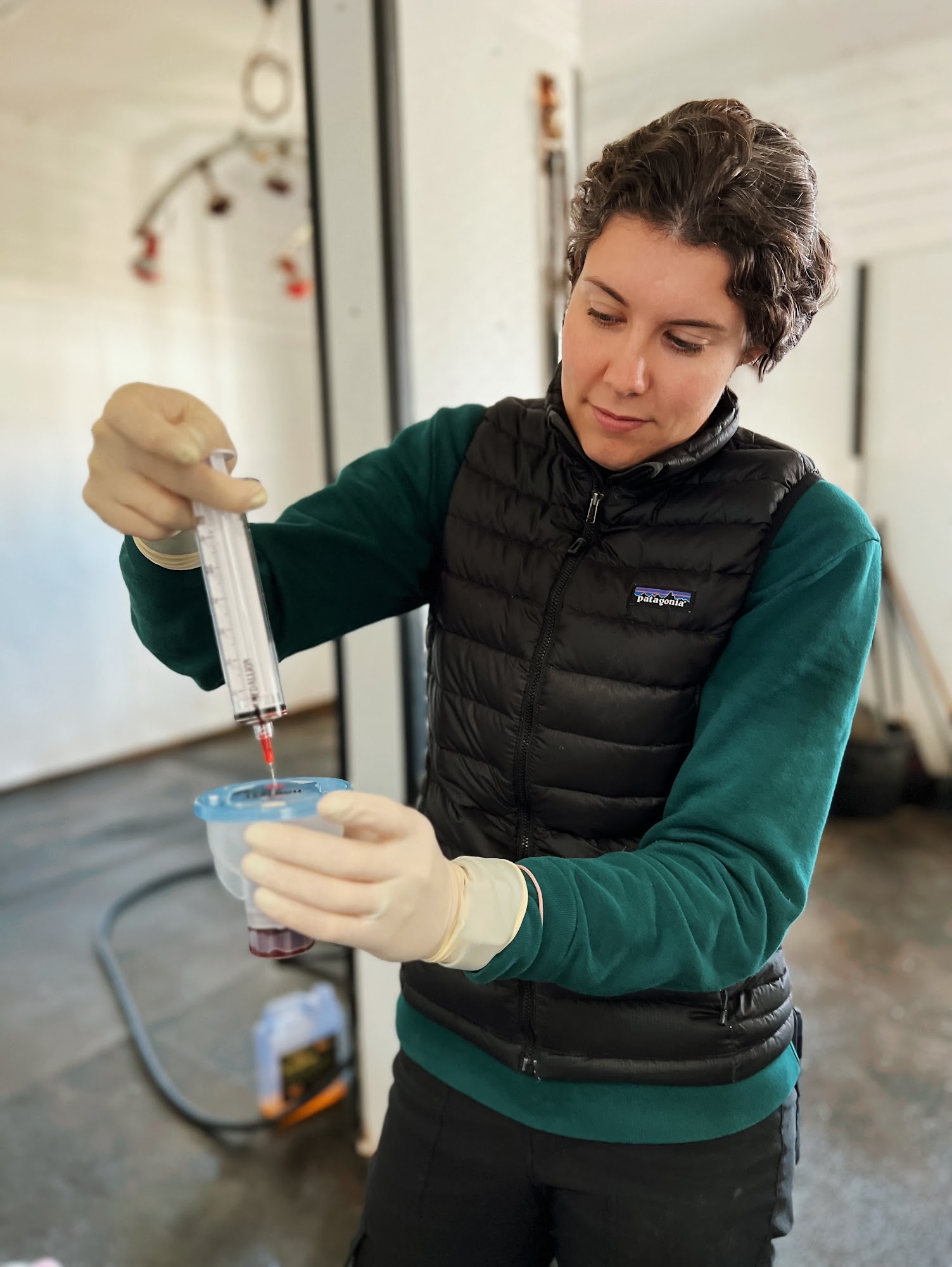 Miller & Associates - Brewster Brewster