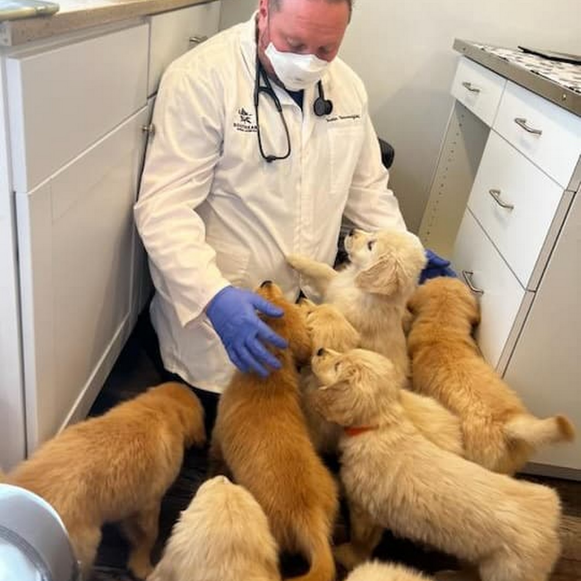 Southeast Animal Hospital Brewster