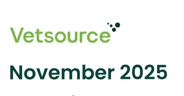 Southeast Animal Hospital Brewster