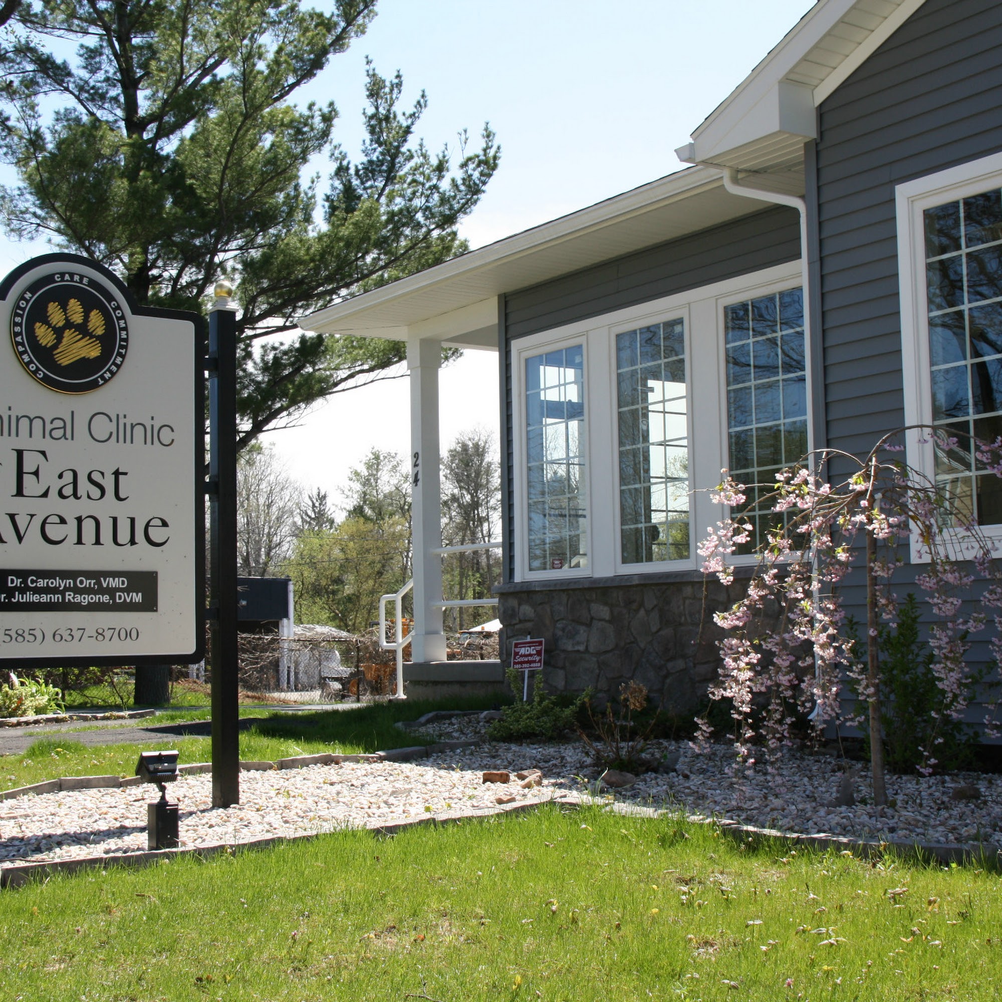 Animal Clinic of East Avenue Brockport