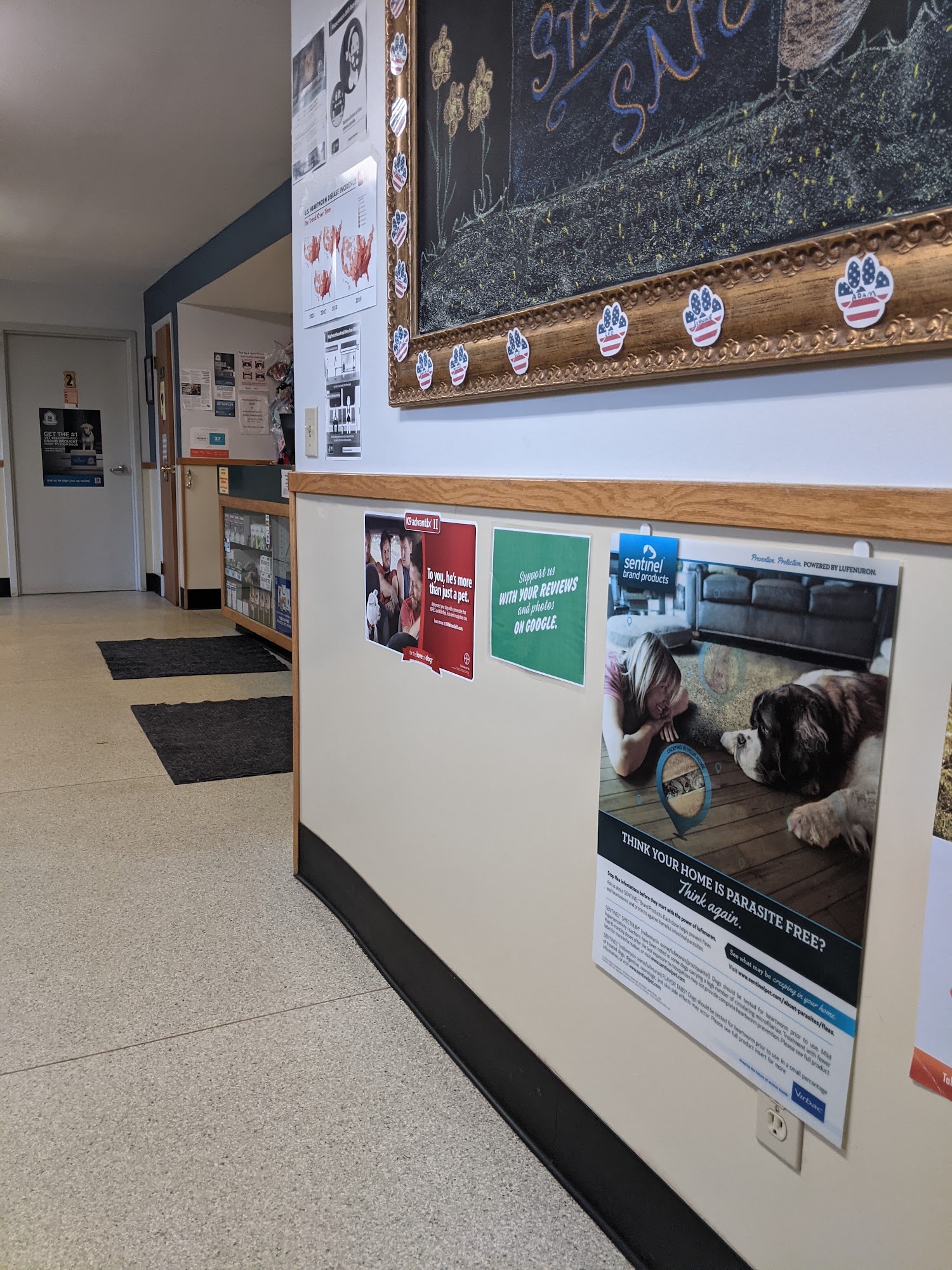 Brockport Animal Hospital Brockport