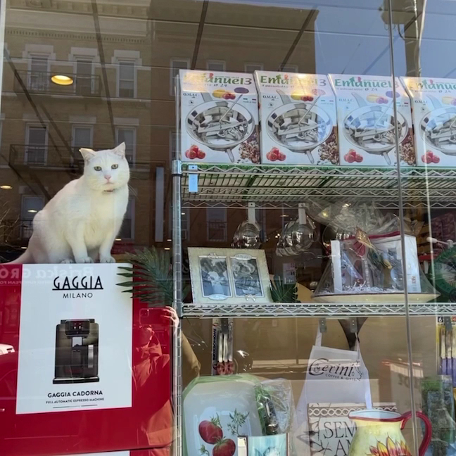 Cerini Coffee & Gifts Bronx