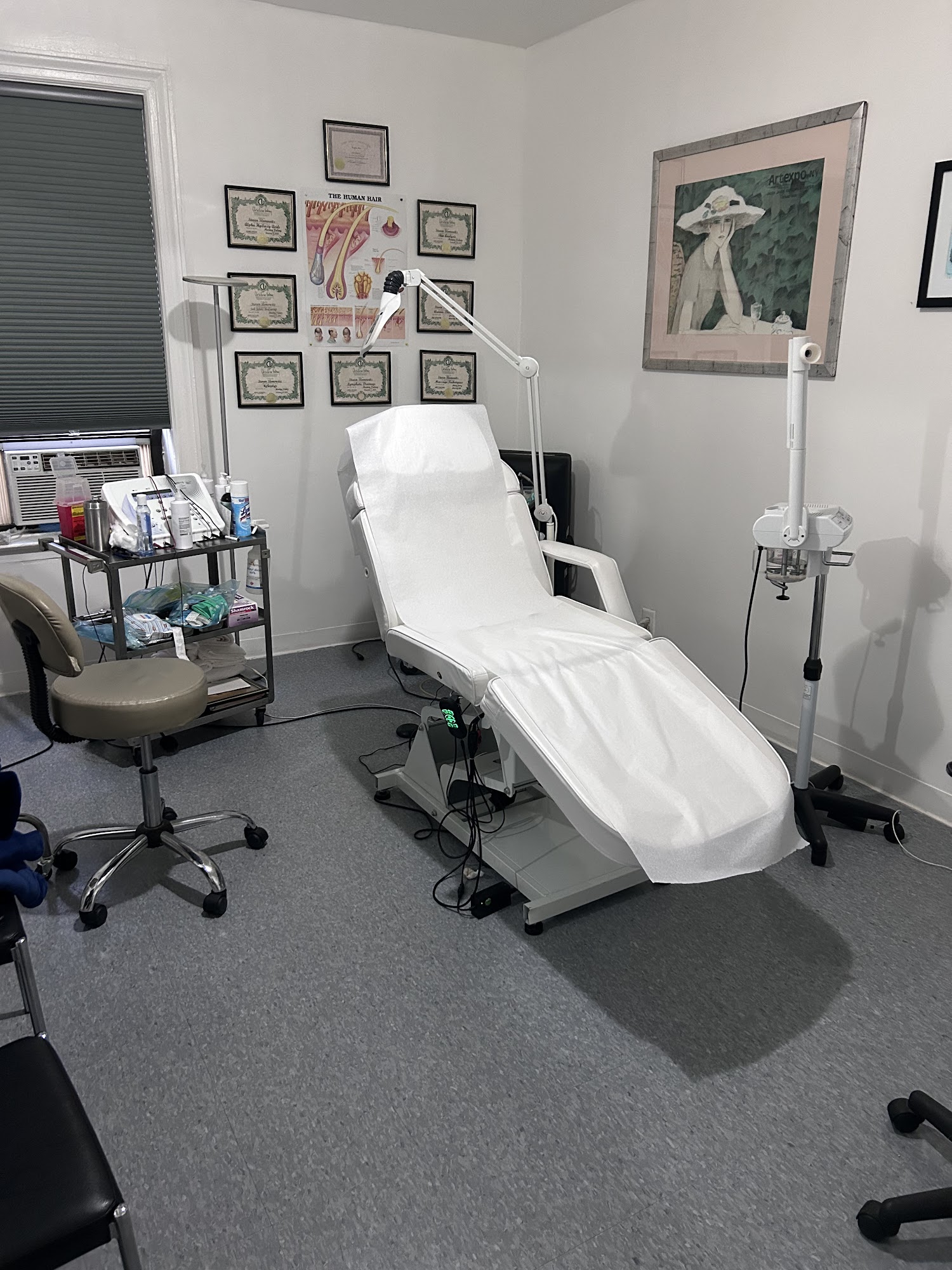 Steven Williams Electrolysis