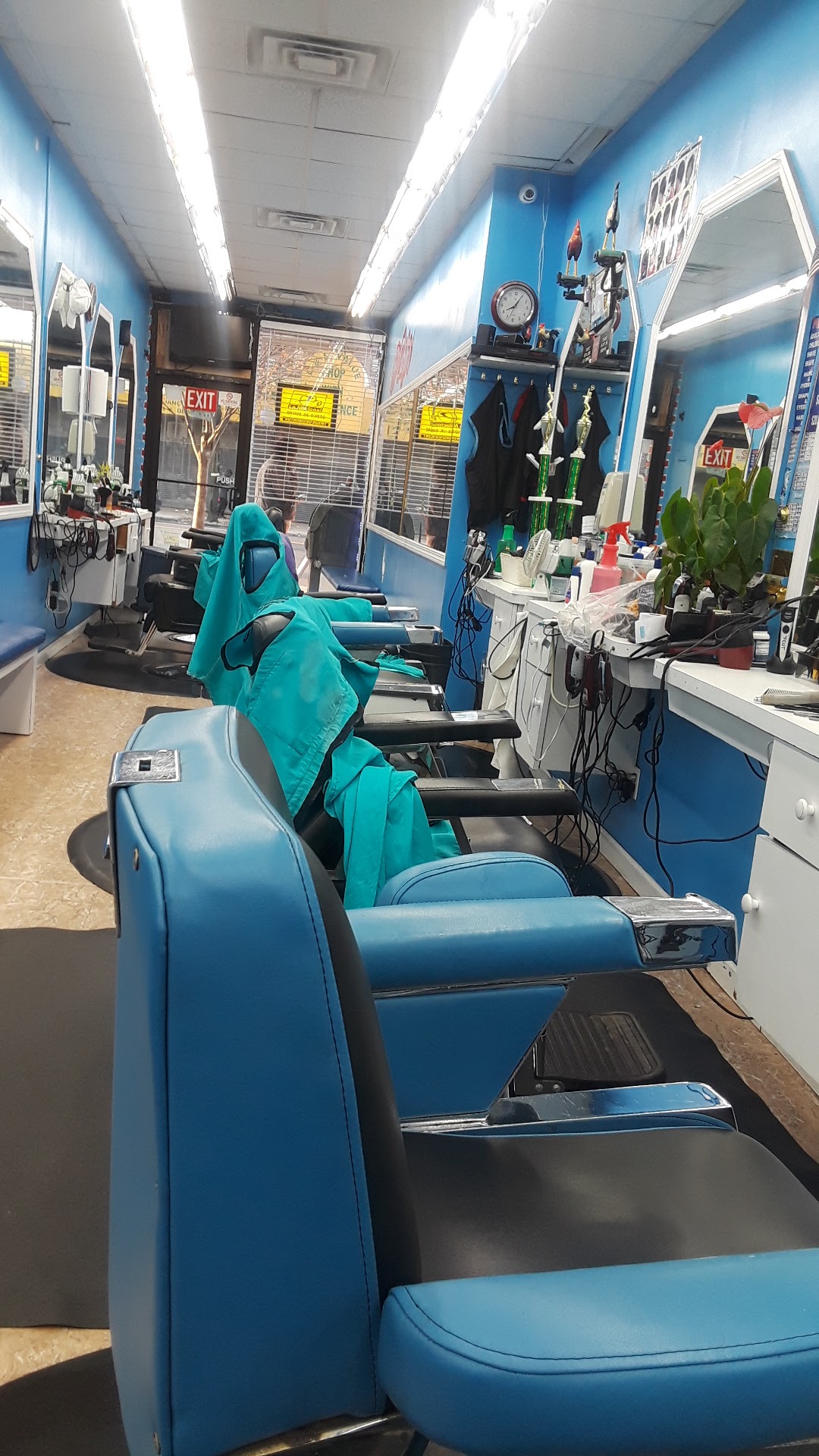 Tio Barber 67E E Kingsbridge Rd, Bronx New York 10468