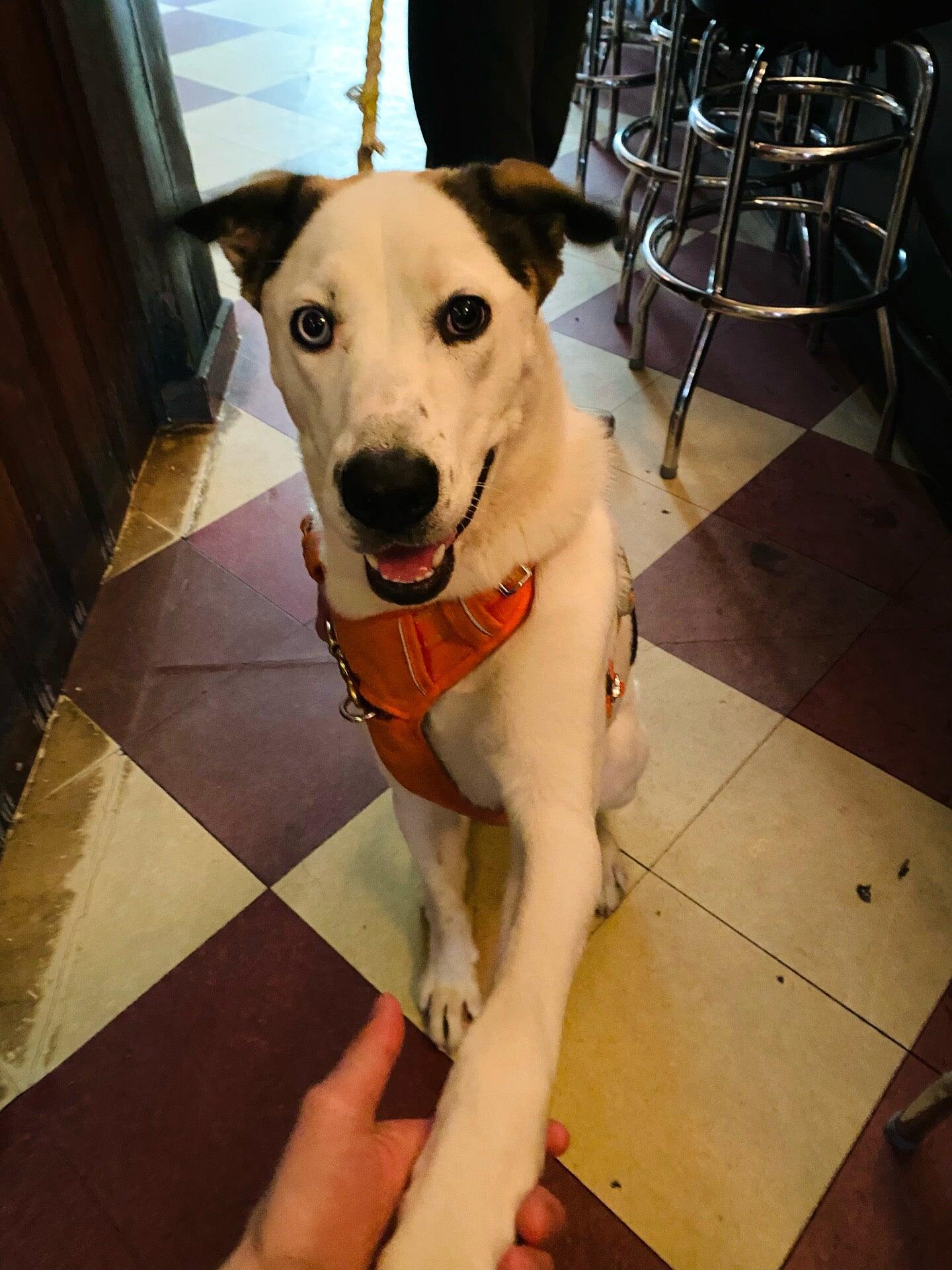 Photo credit: nextdoor