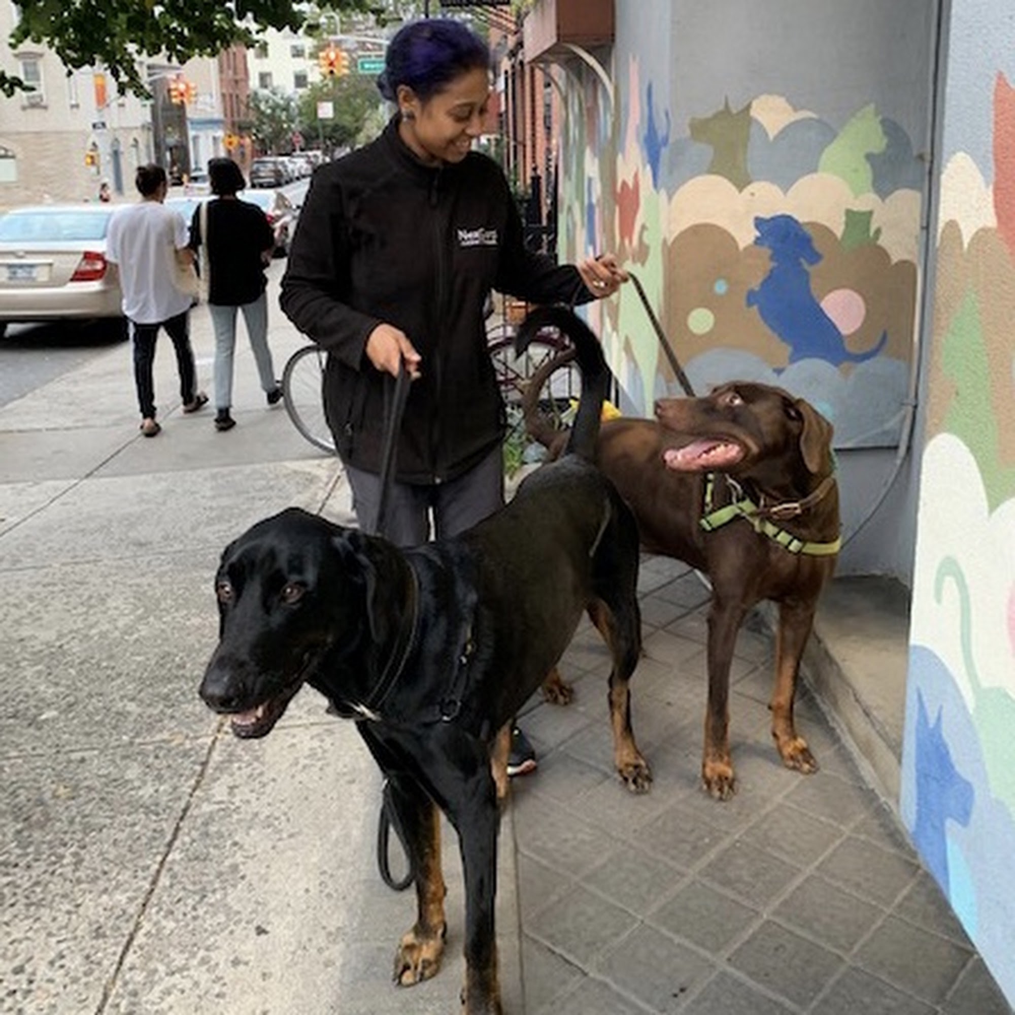 Northside Veterinary Clinic Brooklyn