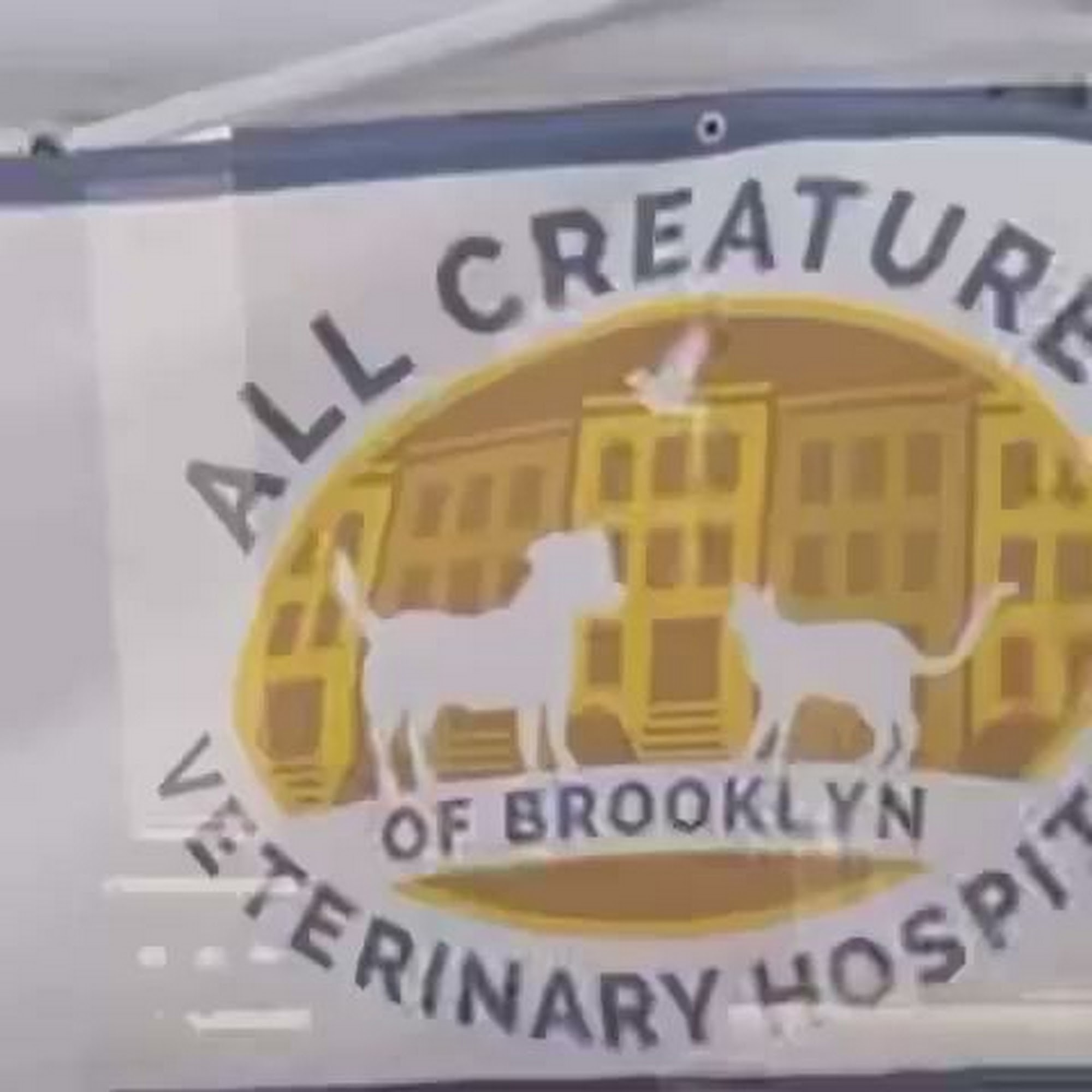 All Creatures Veterinary Hospital of Brooklyn Brooklyn