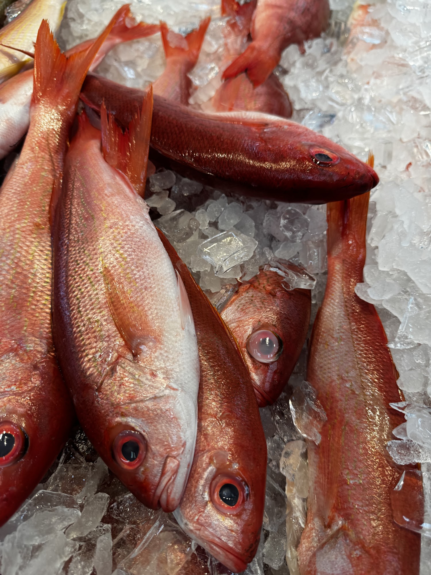 Seven Seas 2 Fish Market