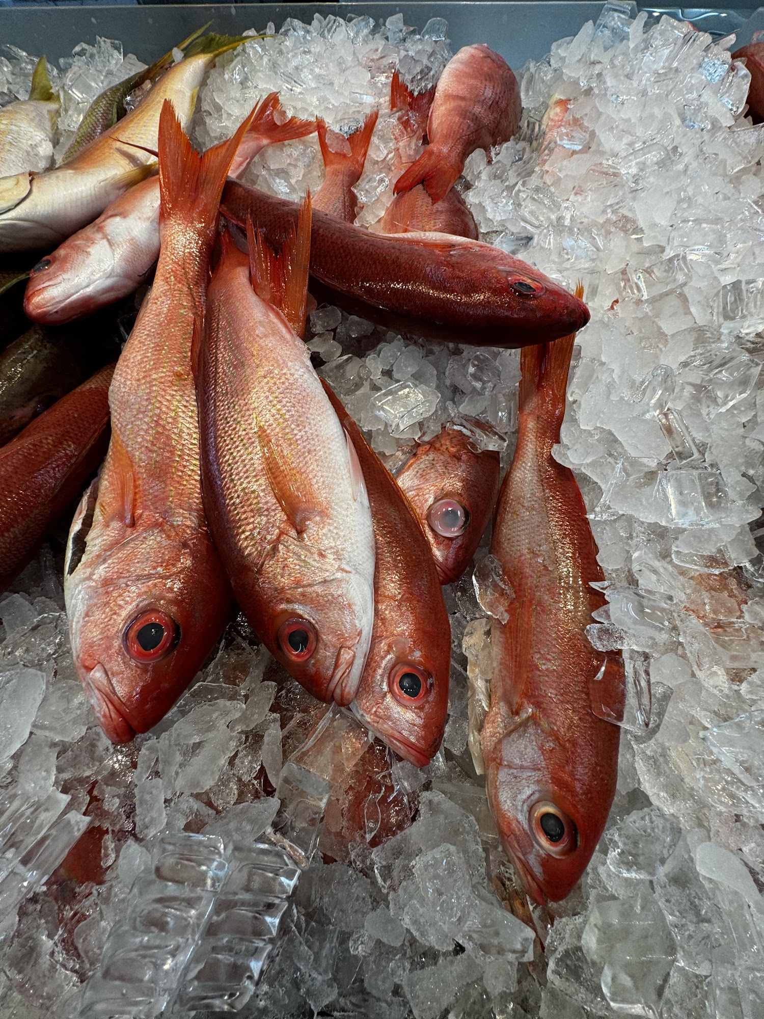 Seven Seas 2 Fish Market