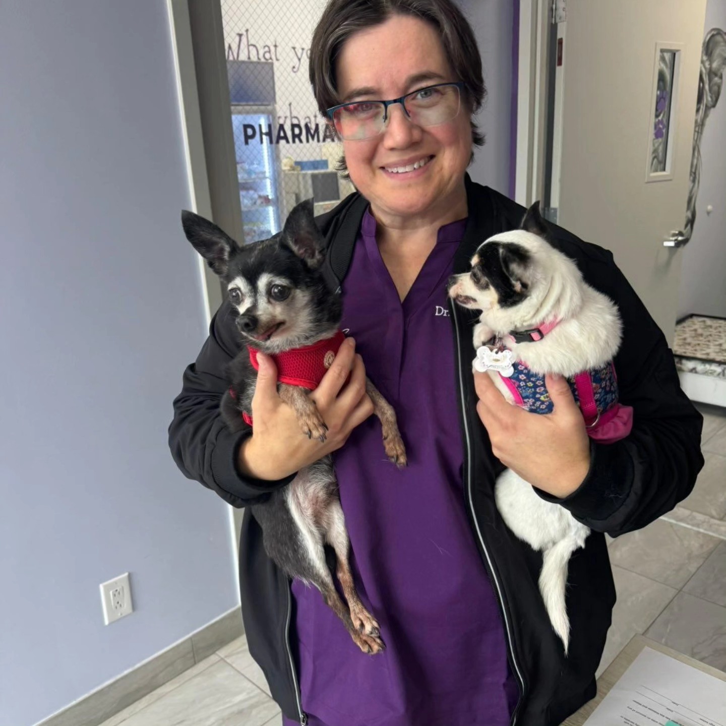 The Neighborhood Vet Brooklyn