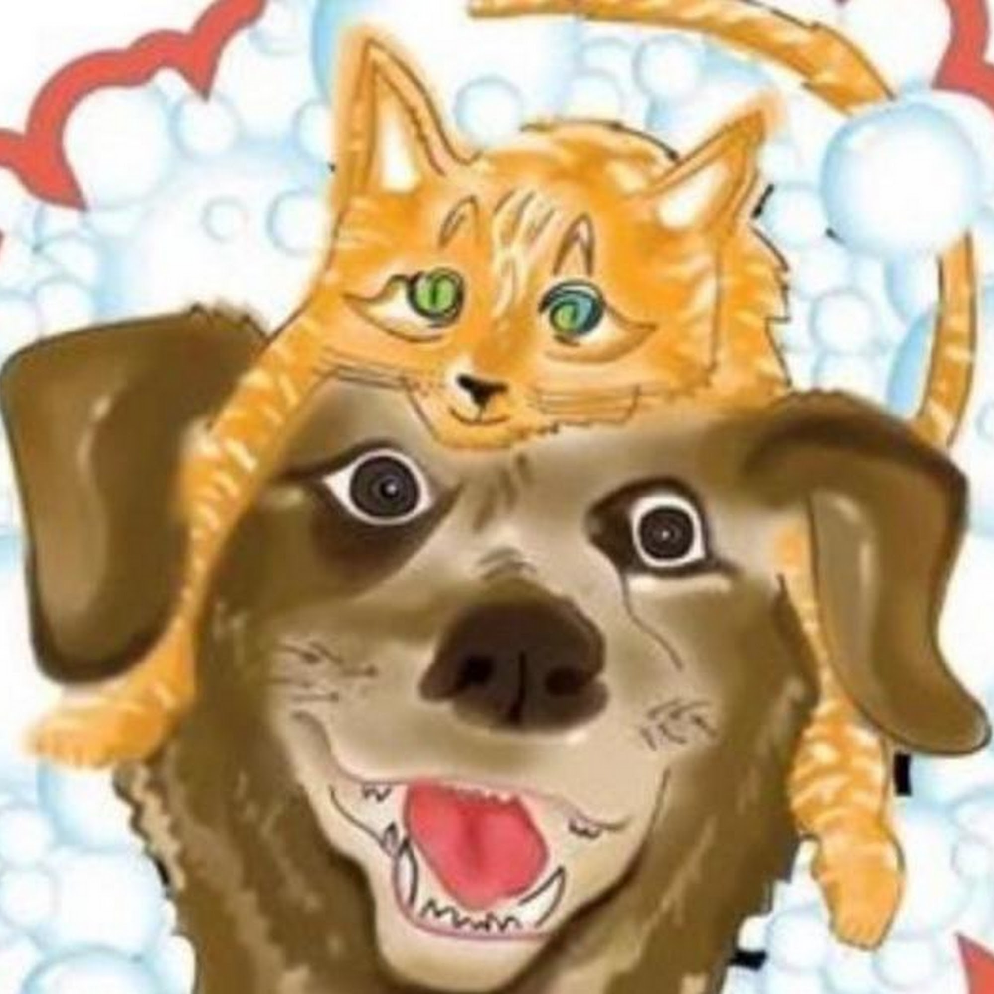 Brooklyn Pet Spa, Cat & Dog Grooming Brooklyn