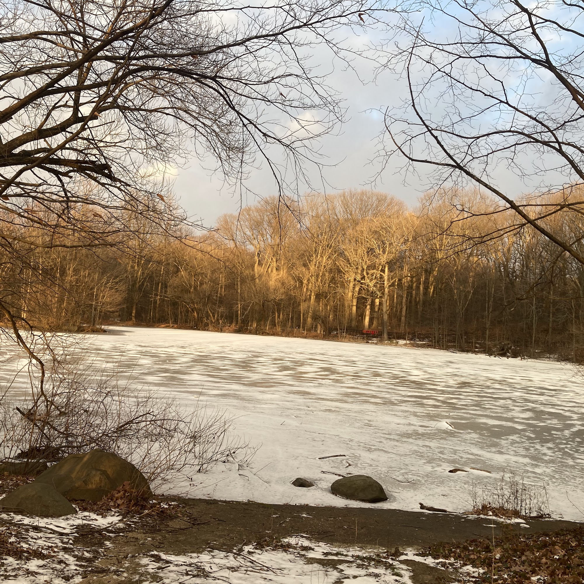 Prospect Park Dog Beach Brooklyn
