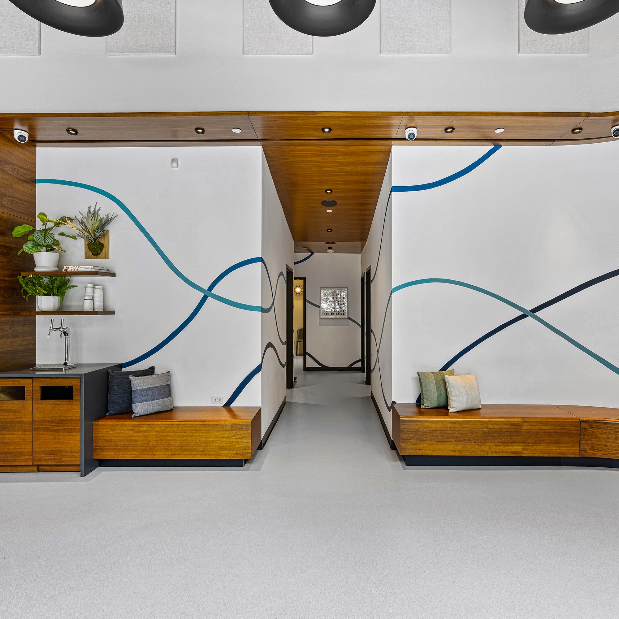 All Ears Veterinary Brooklyn