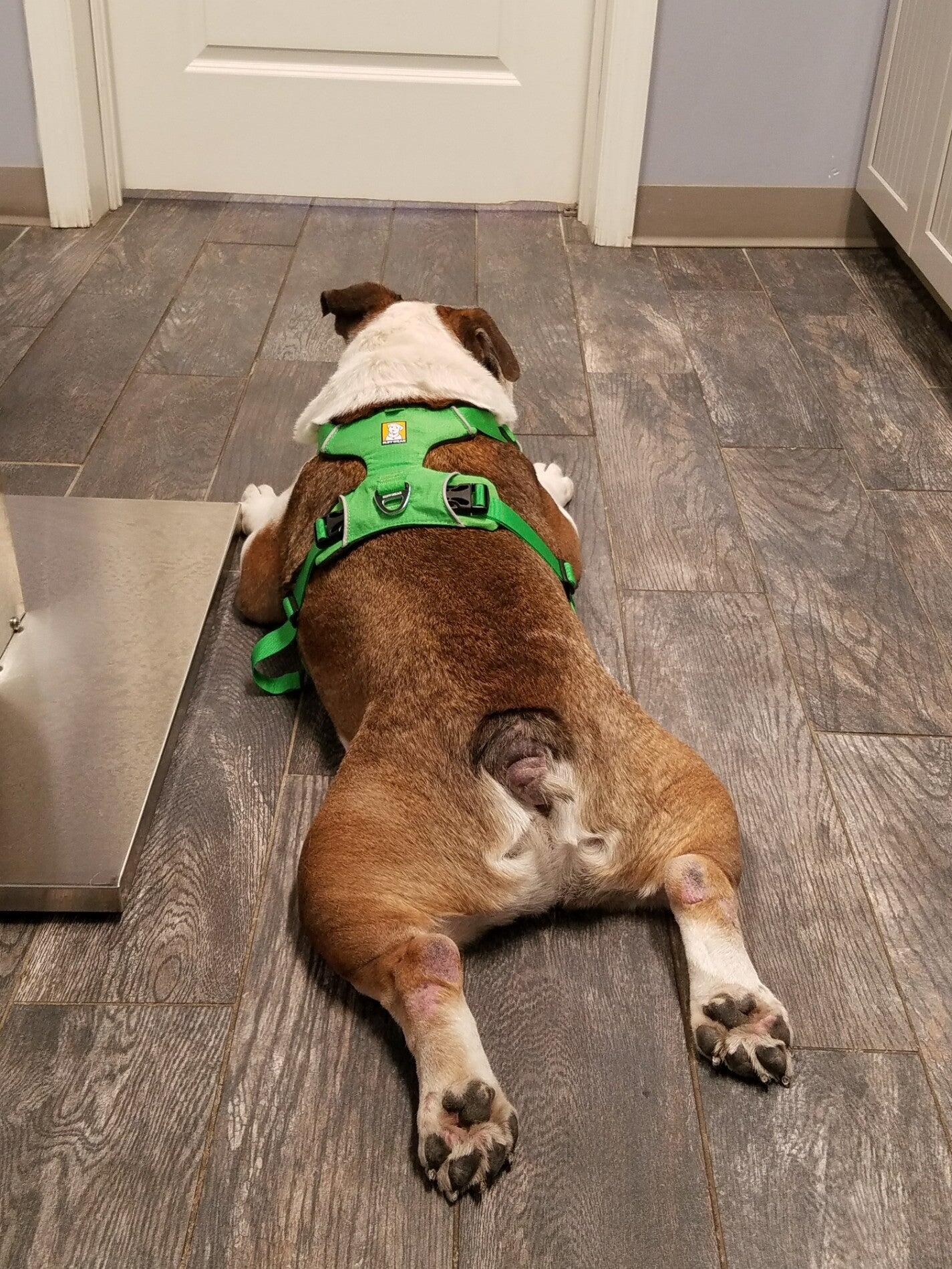 Photo credit: nextdoor