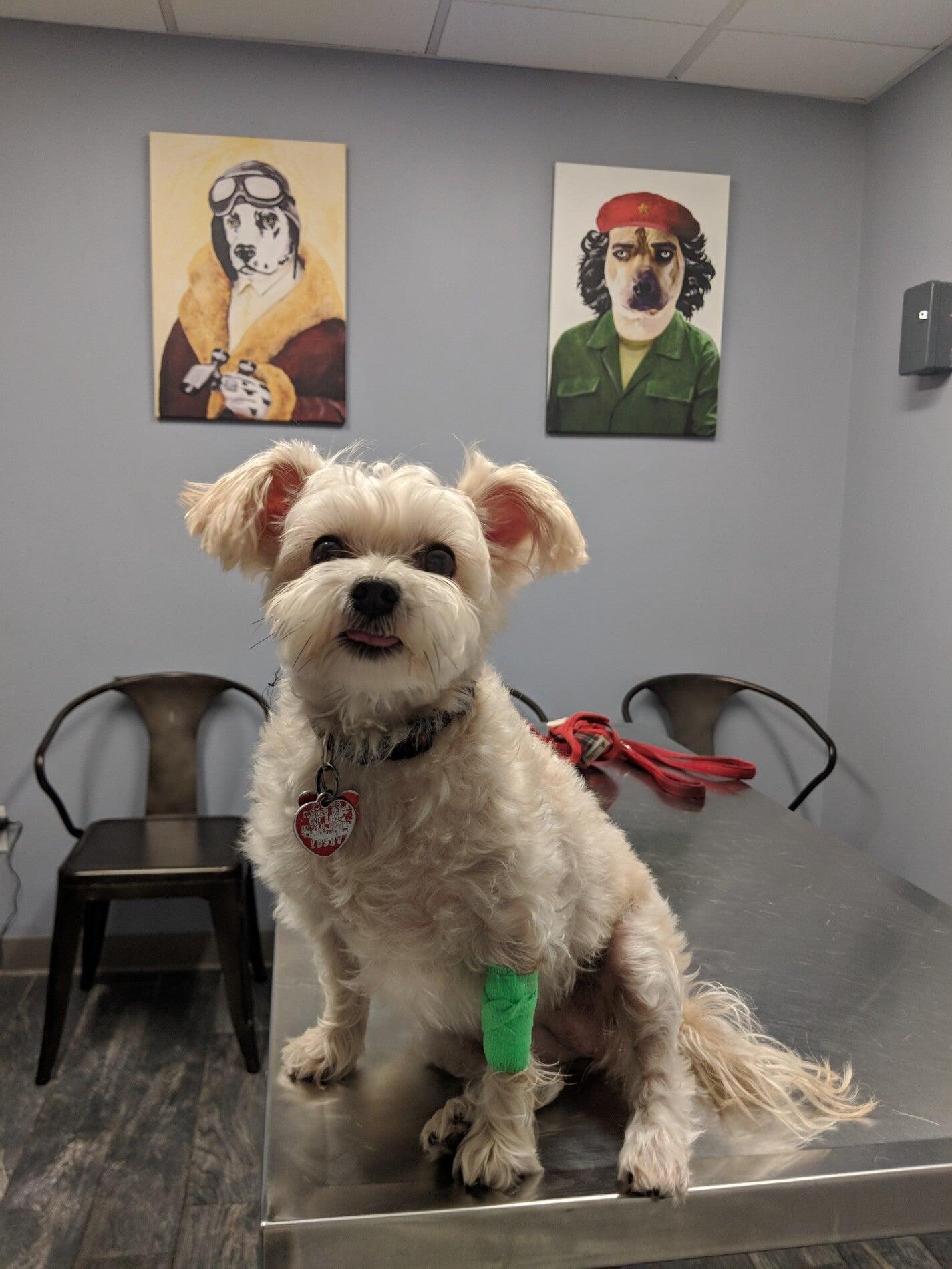 Photo credit: nextdoor