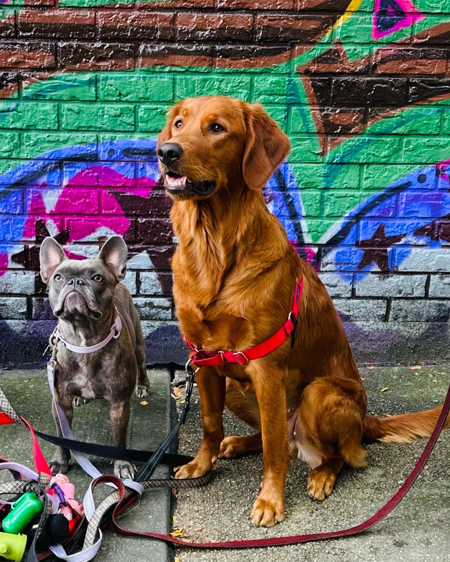 NYC Doggystyle Brooklyn