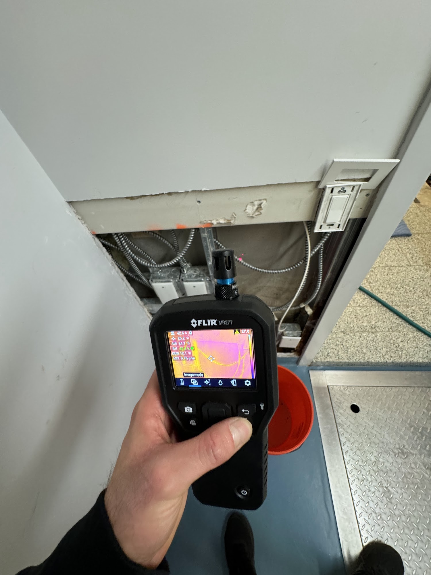 New York Mold Specialist