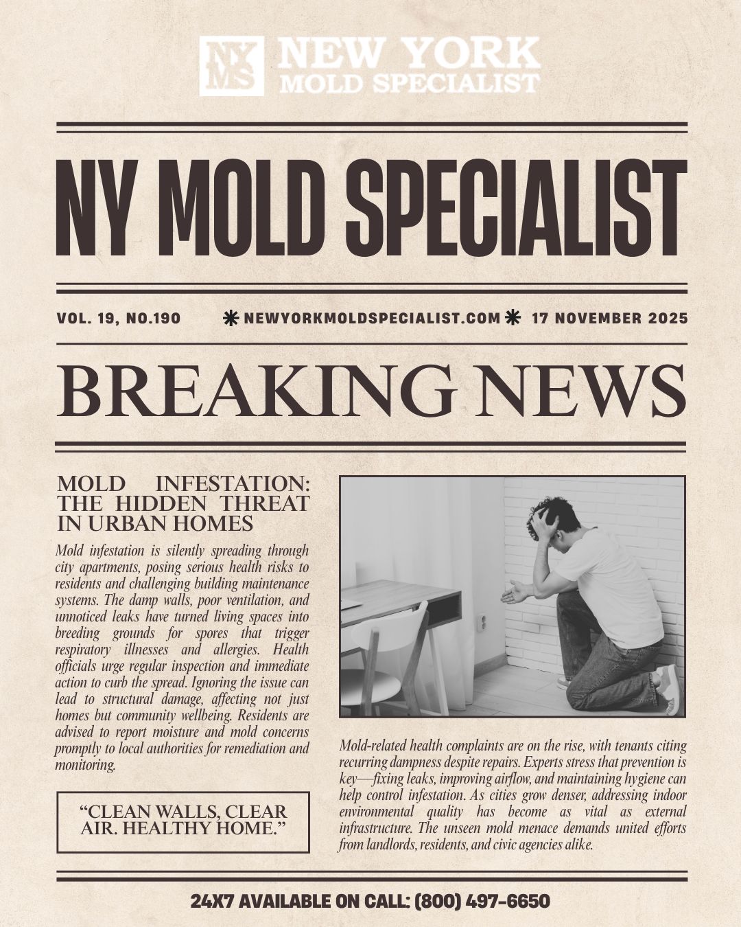 New York Mold Specialist