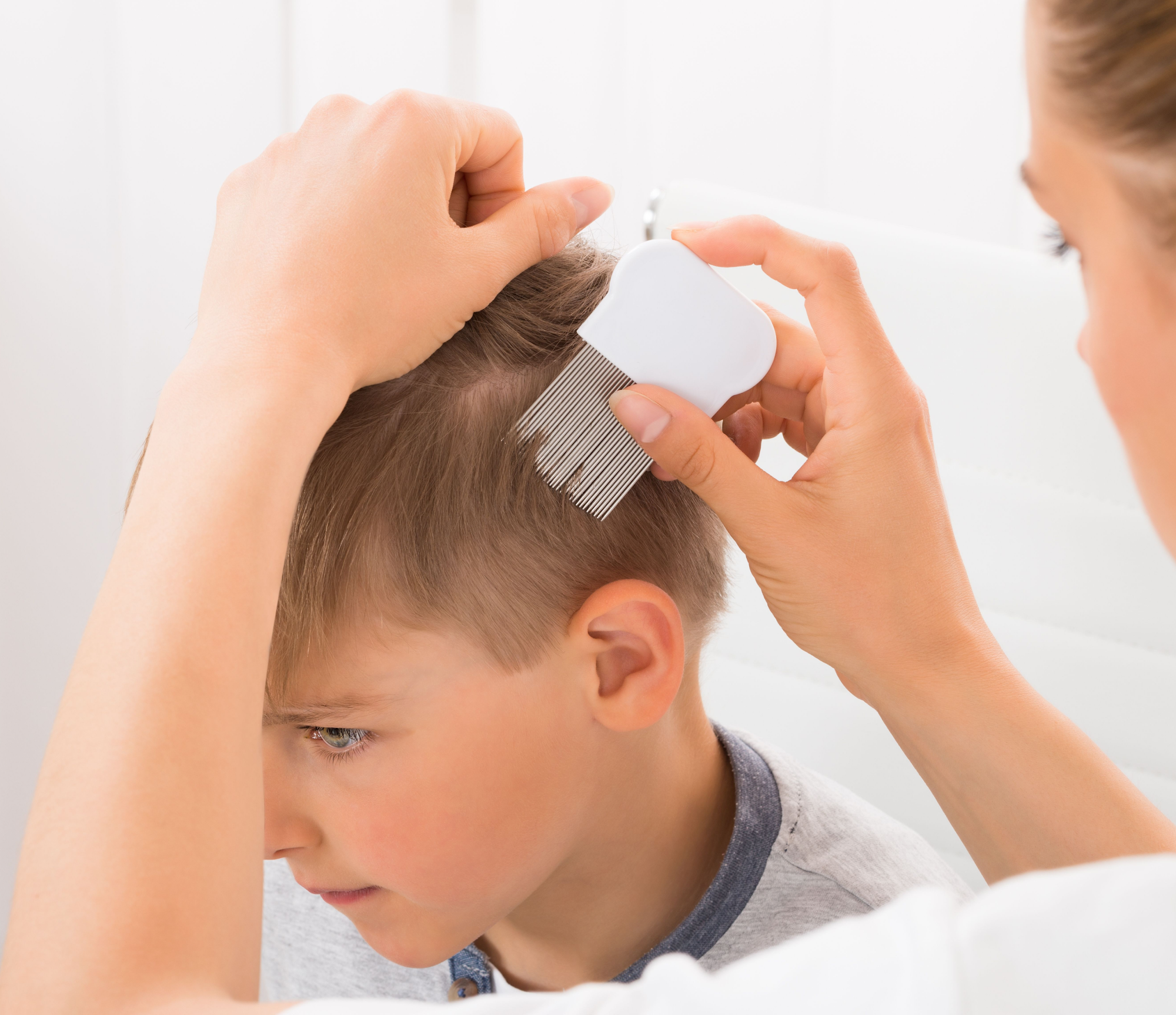 NitPickyUSA - Lice Treatment - Lice Removal Services