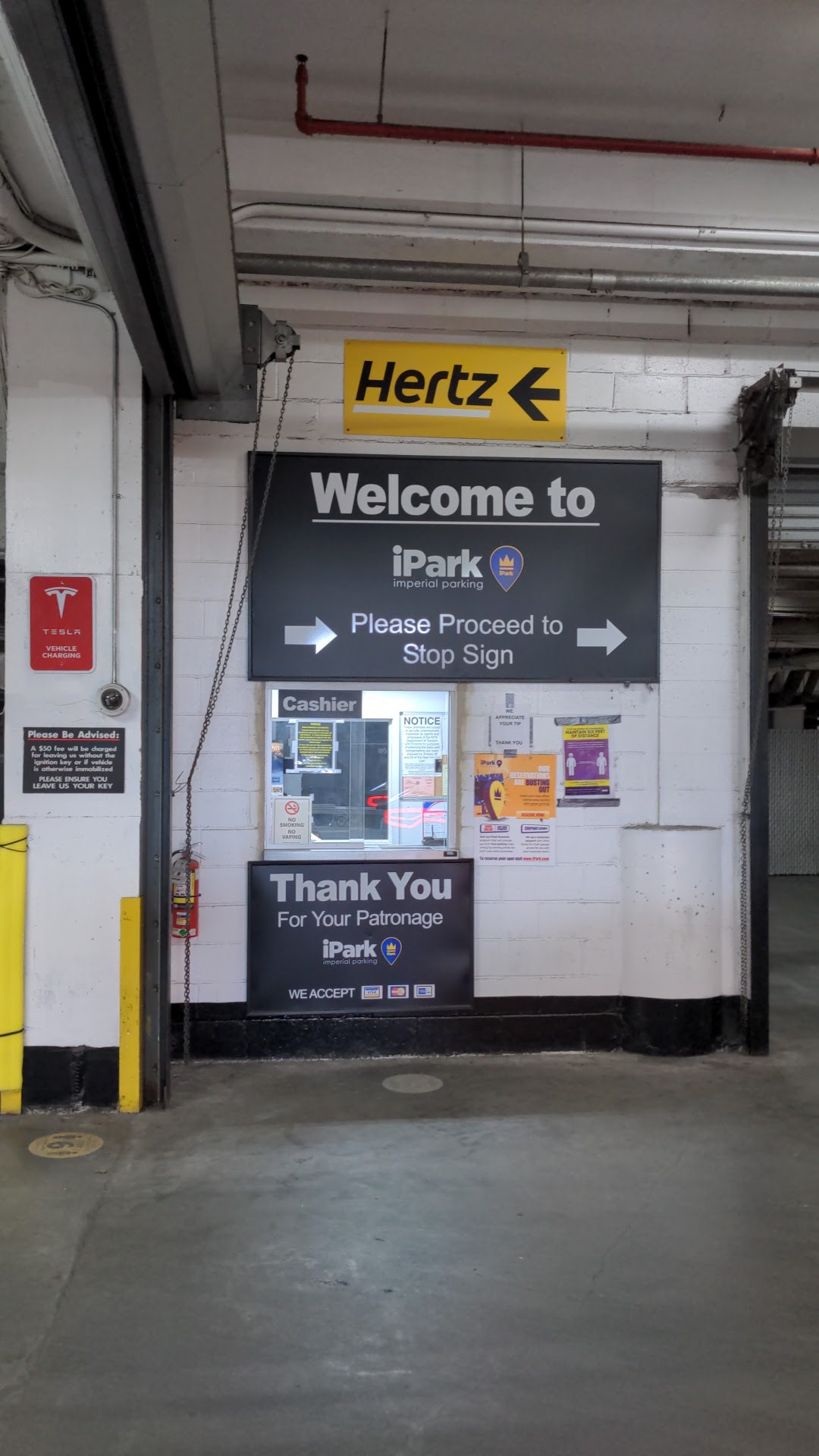 Thrifty Car Rental 85518 Brooklyn