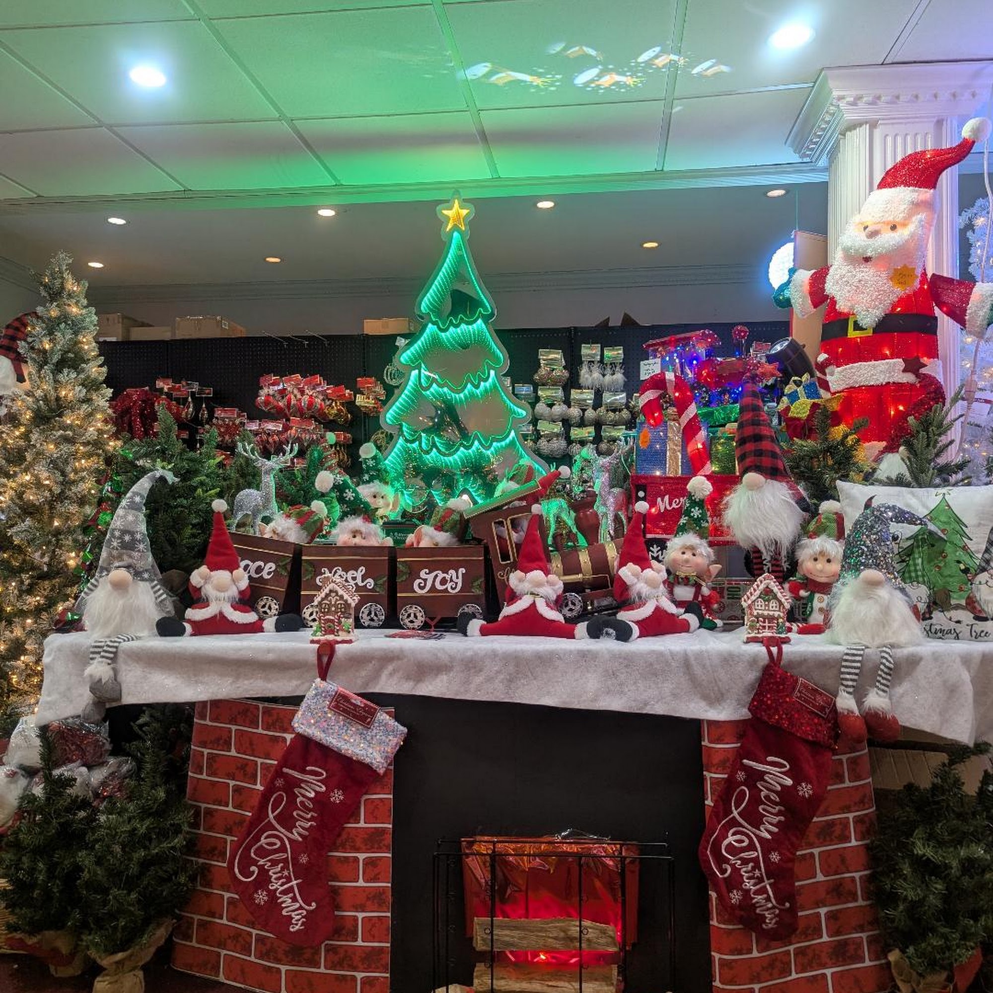 jj Christmas trees Brooklyn