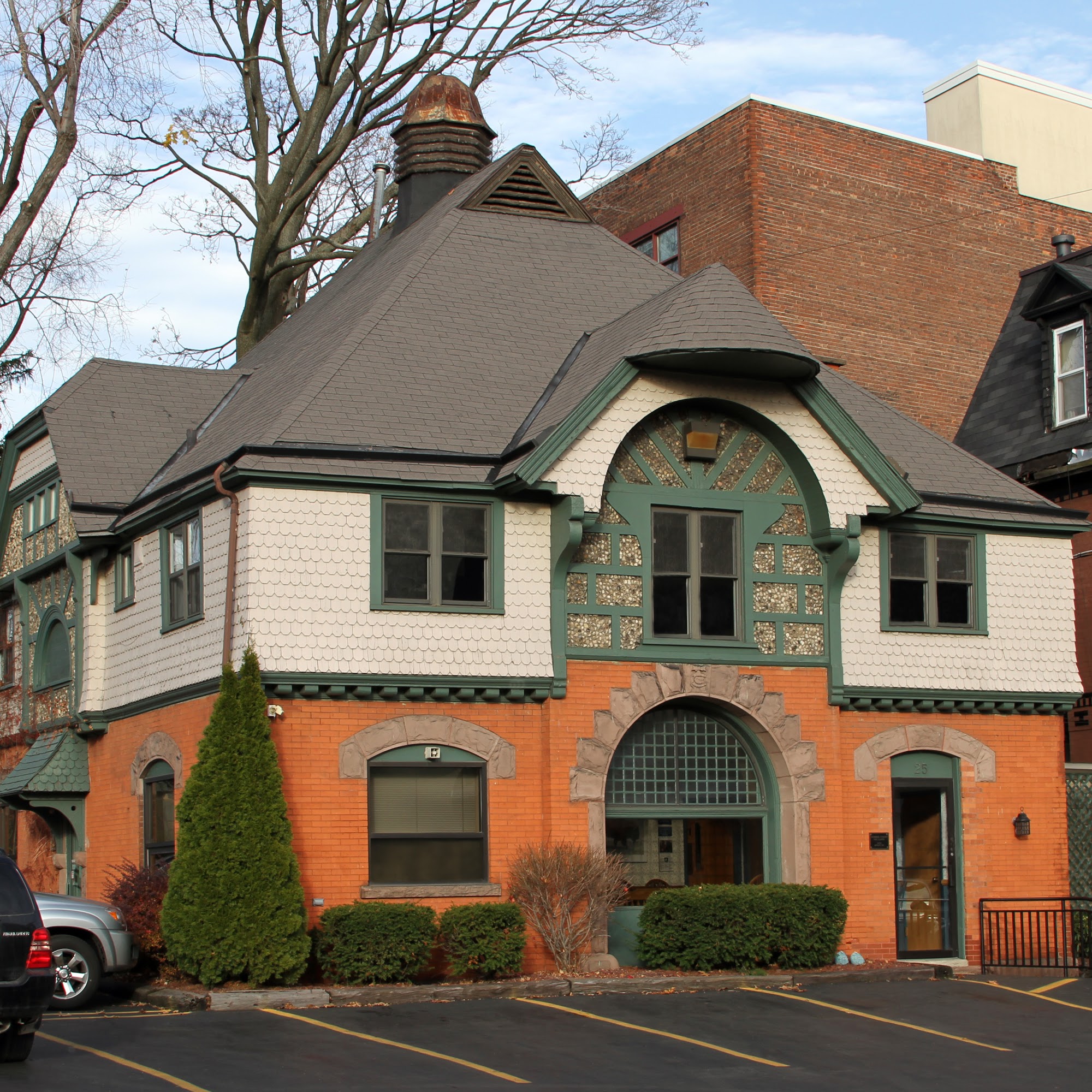 Summer Street Cat Clinic P.C. Buffalo