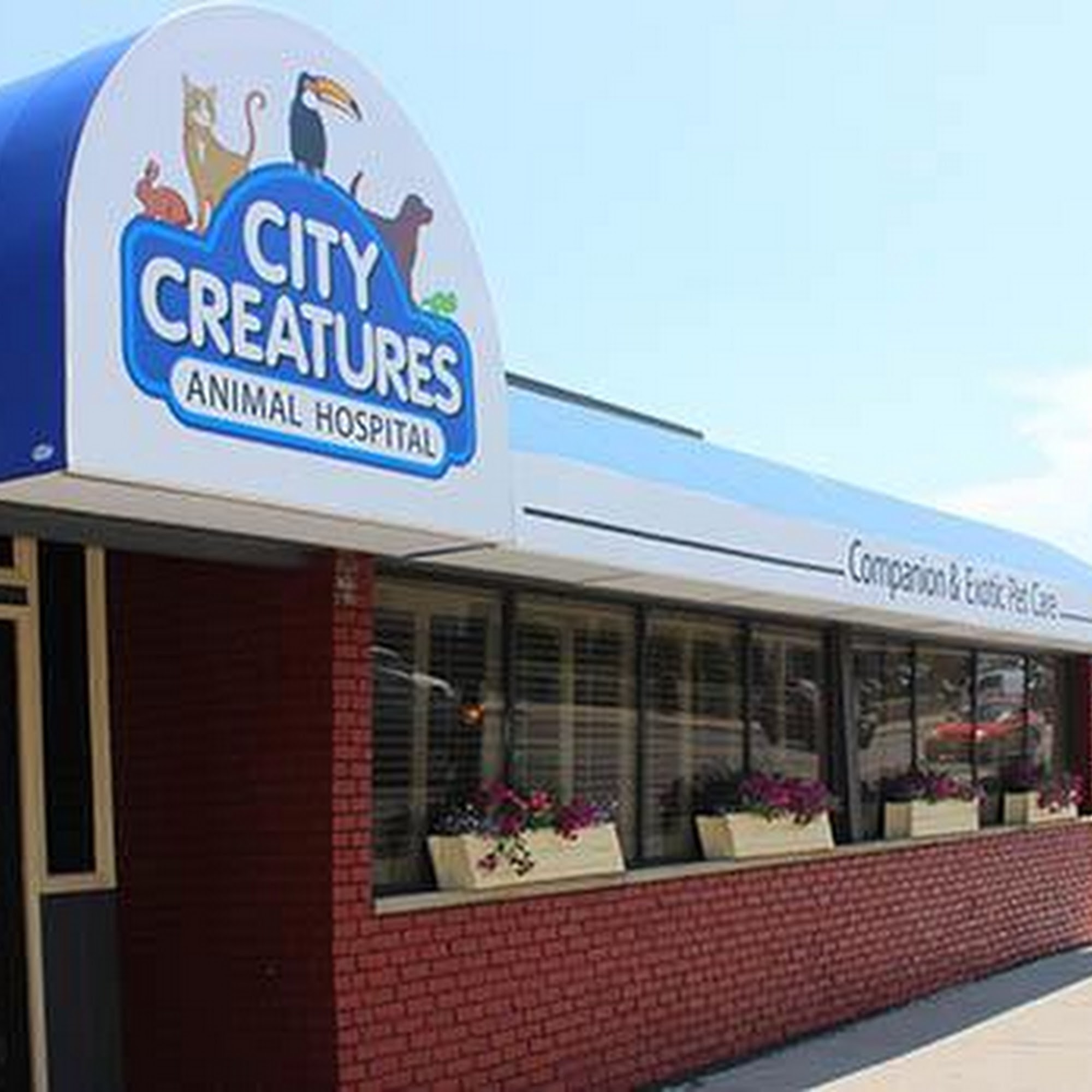 City Creatures Animal Hospital Buffalo