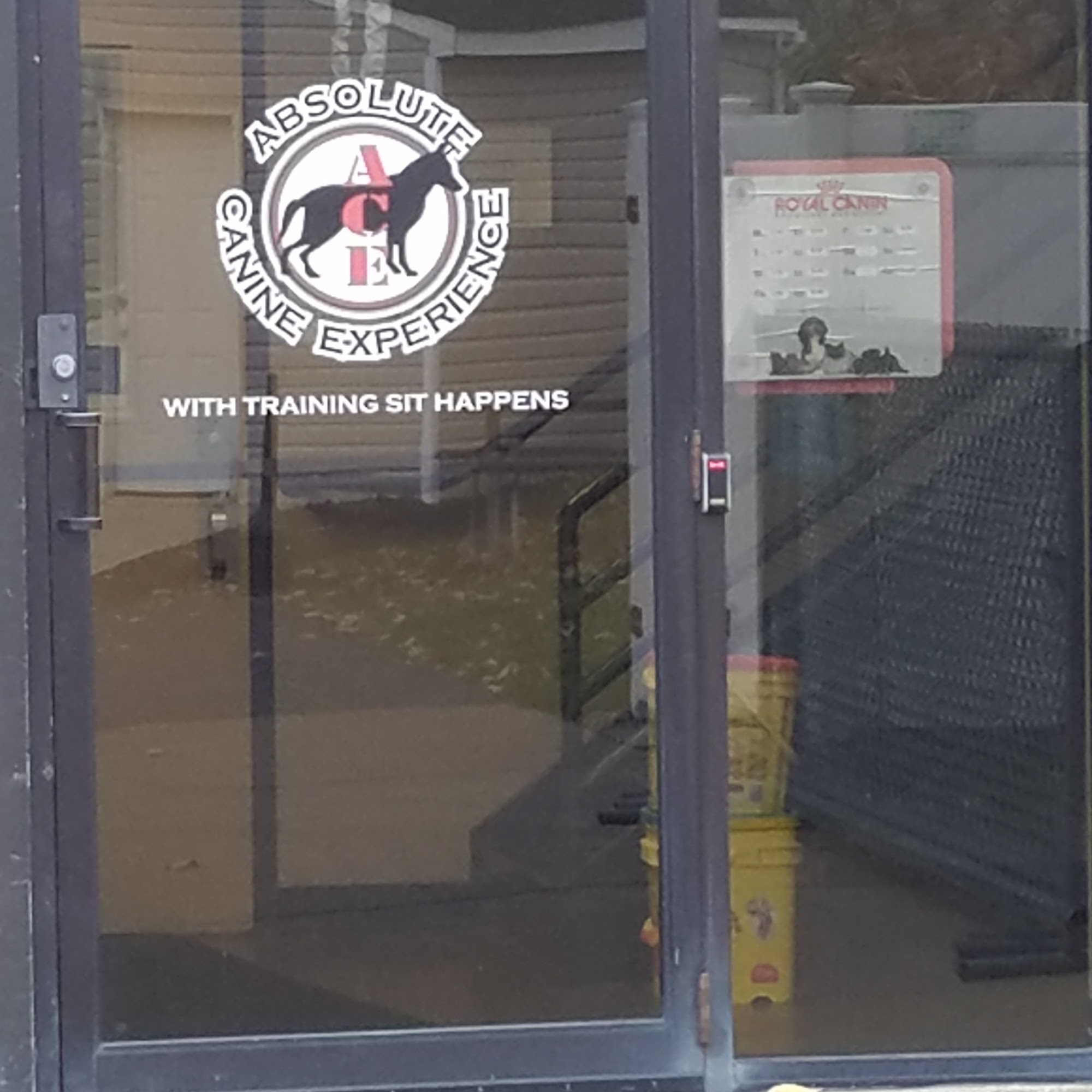 Absolute Canine Buffalo