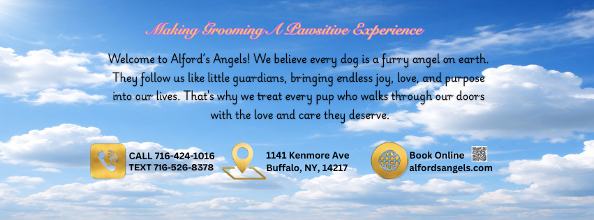 Alford's Angels LLC Buffalo