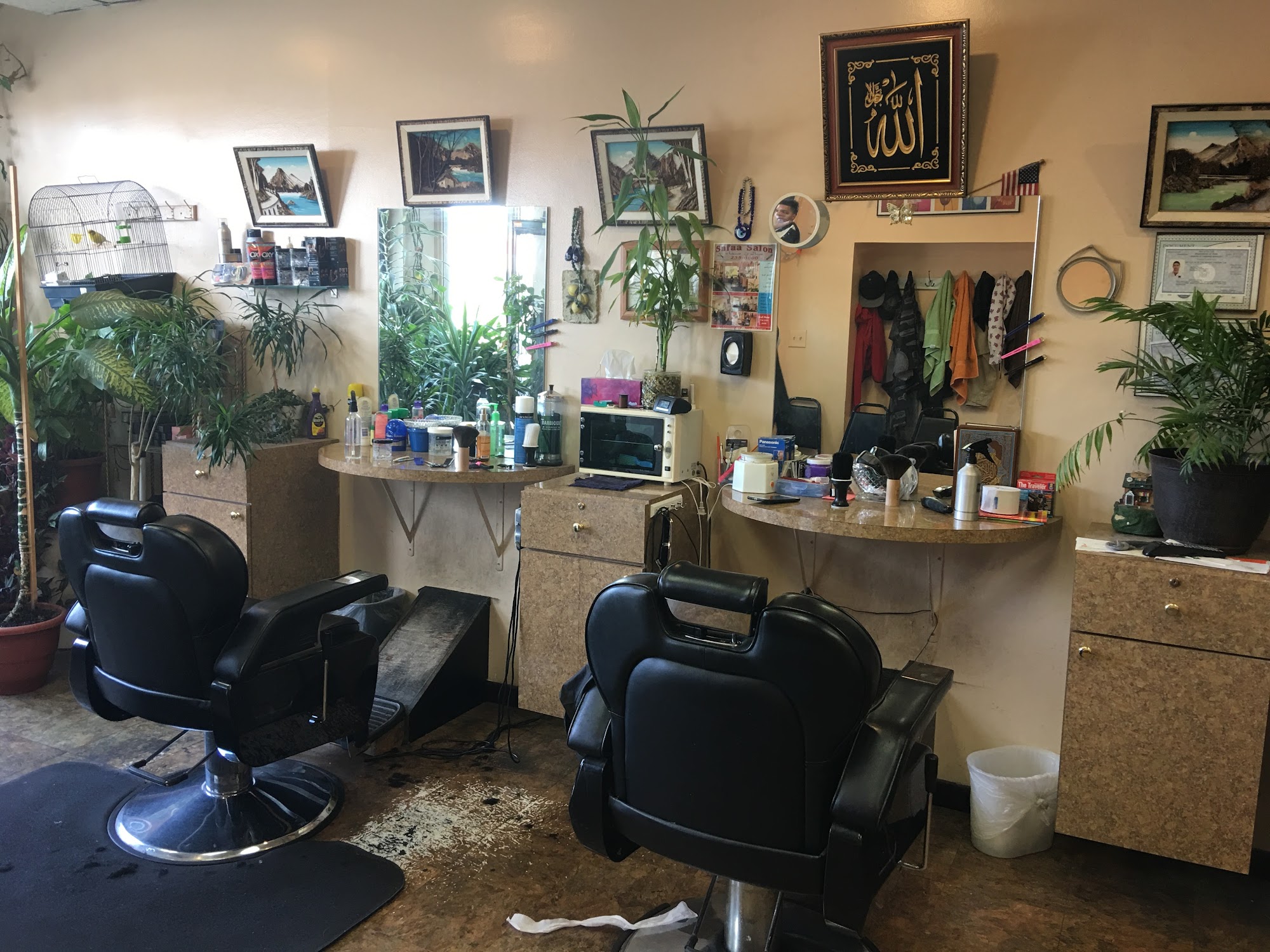 Safaa Salon 2443 Delaware Ave, Buffalo New York 14216