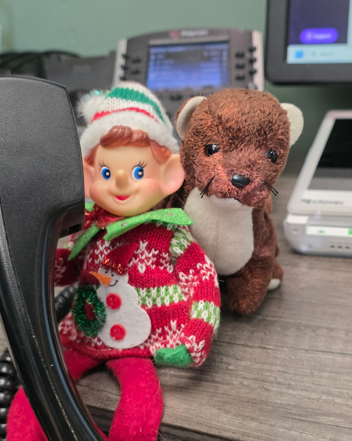 Otterkill Animal Hospital Campbell Hall