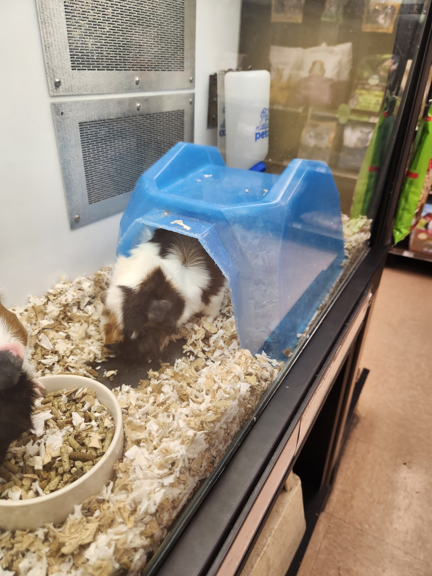 Petco Canandaigua